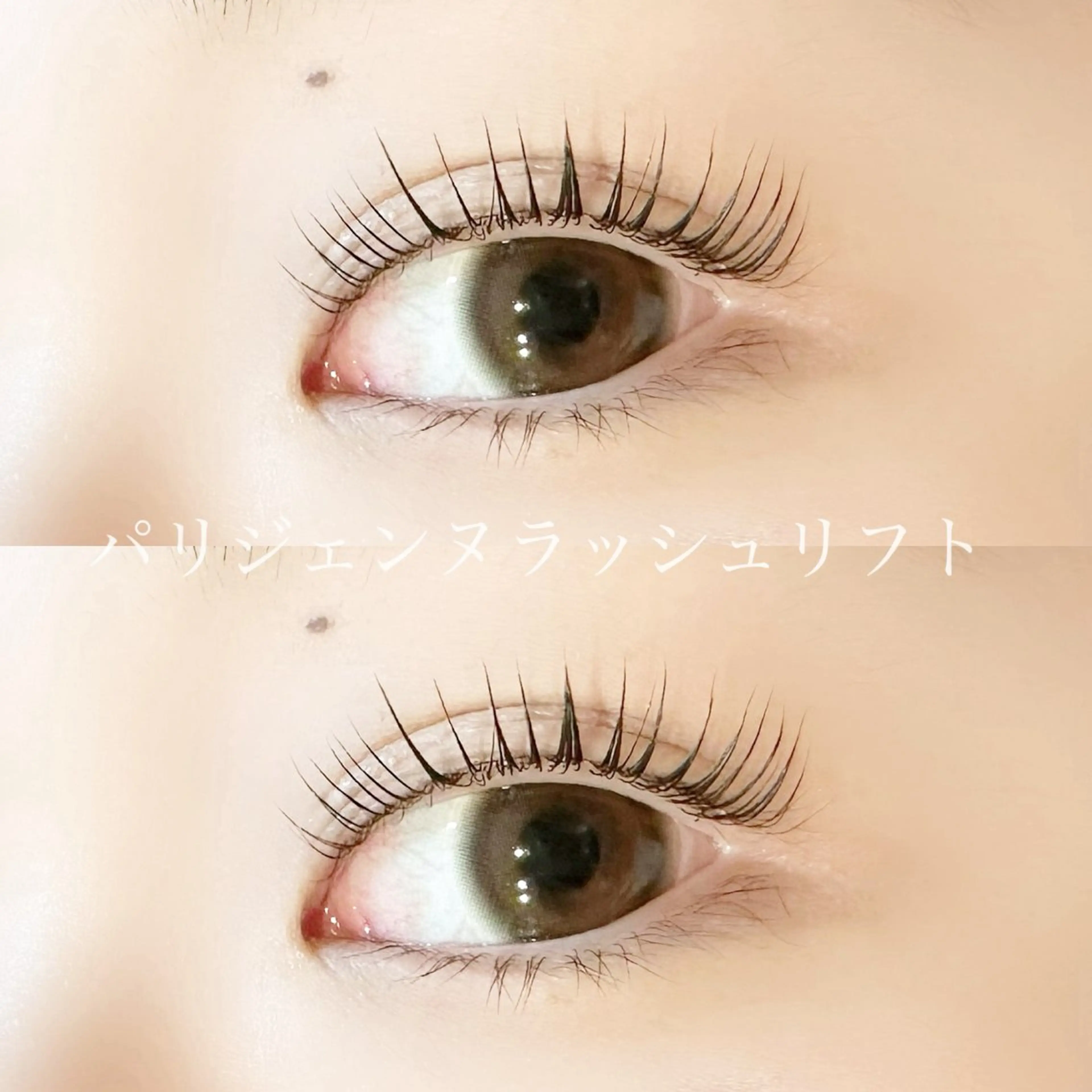 マツエク・マツパ パリジェンヌラッシュリフト cocosia所属・K. N🌸のマツエク・マツパデザイン