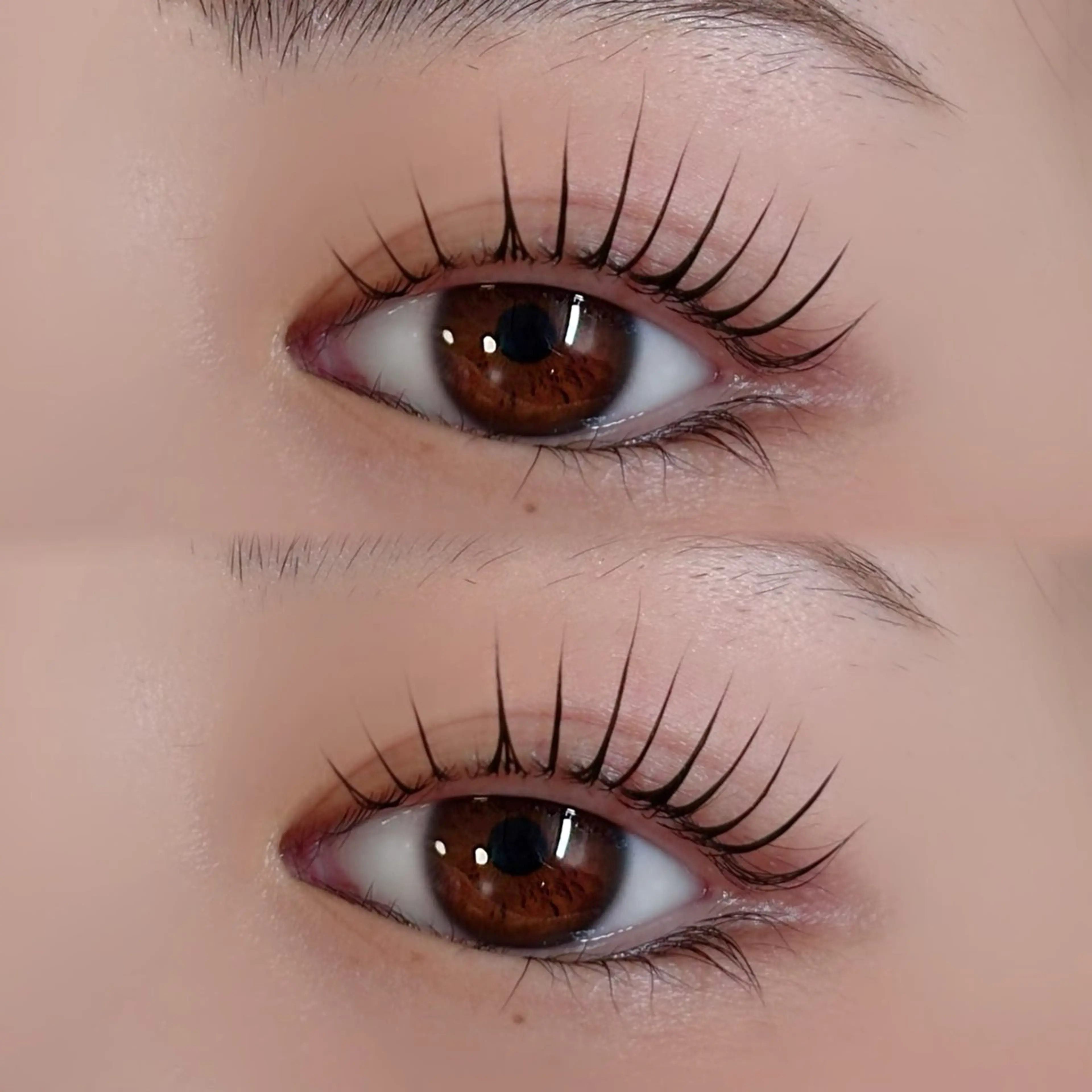 マツエク・マツパ マツパ Seek Dea hitomi 🎀のマツエク・マツパデザイン