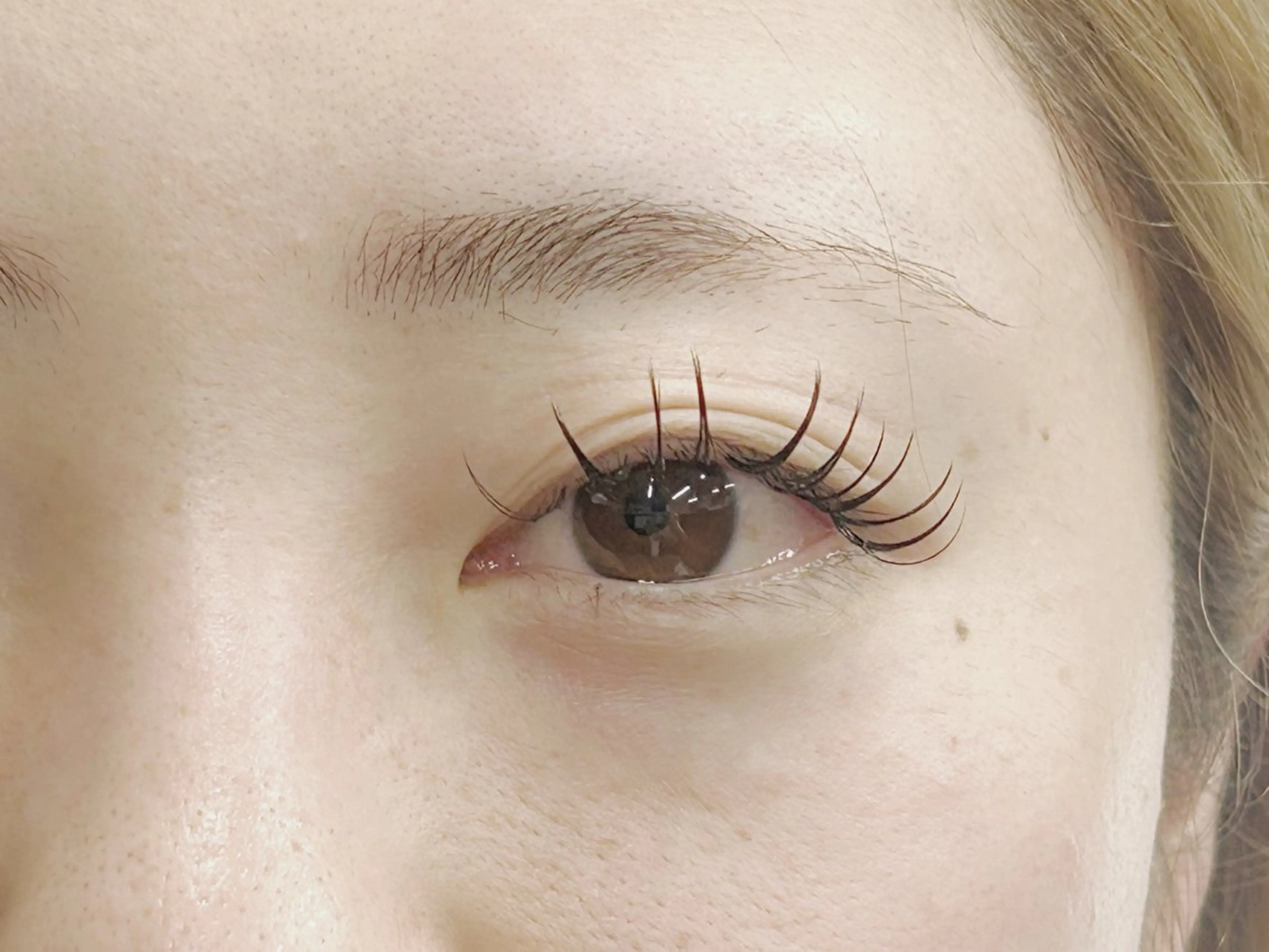 💟マツエク　フラットラッシュ　​〜​モデル募集​〜​　　　80​〜​100本の写真