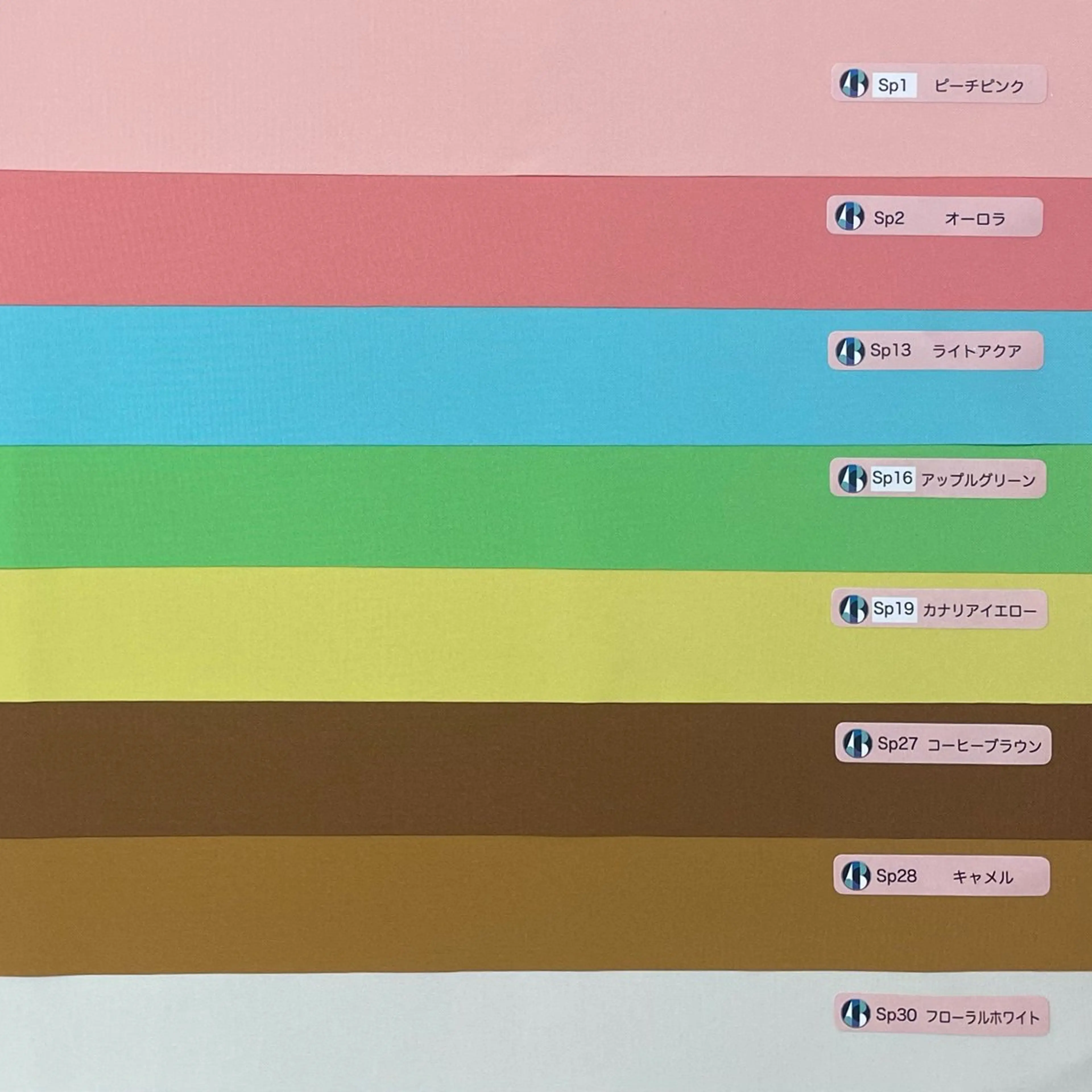 パーソナルカラー🥐 顔タイプ🥗yuriのその他イメージ