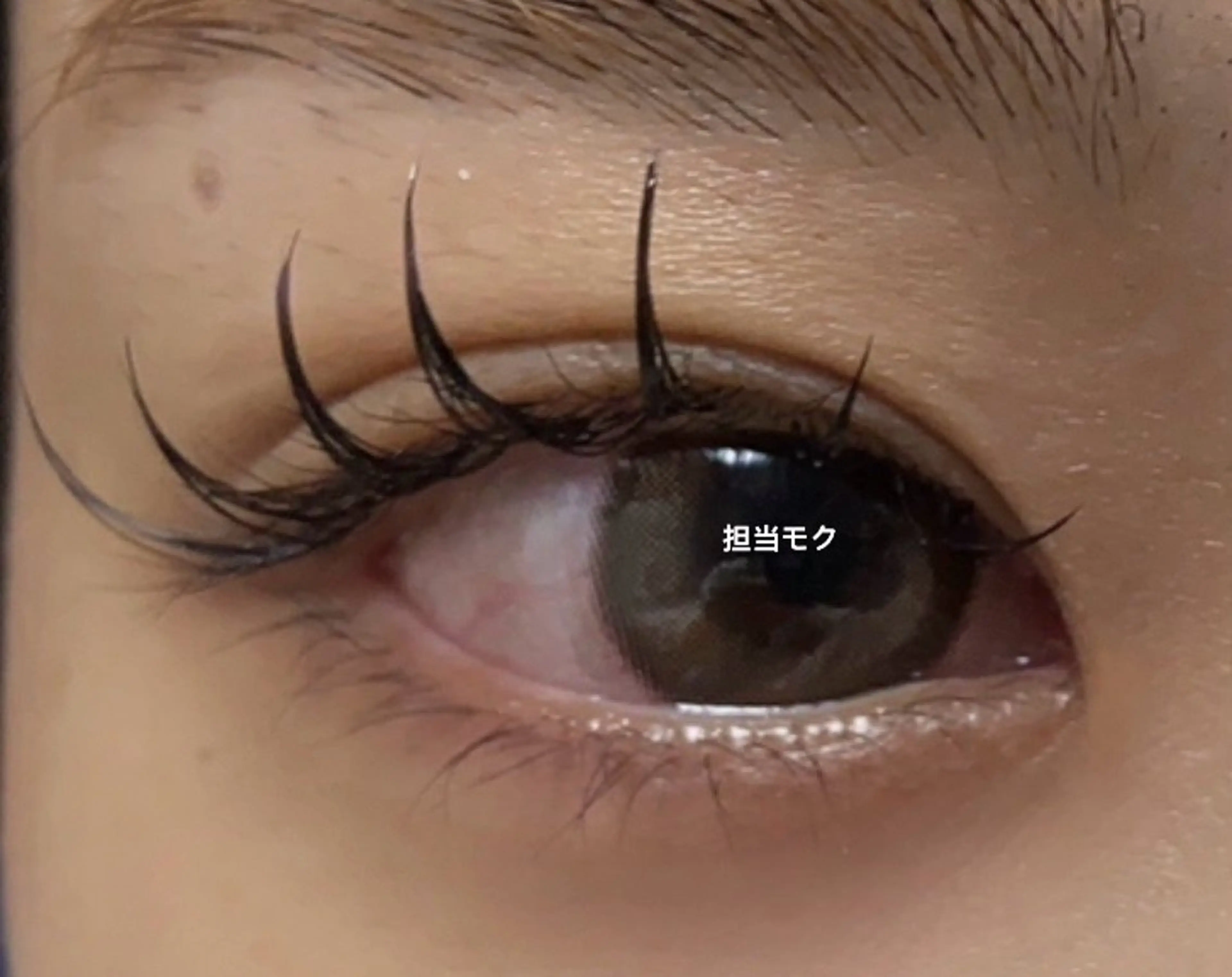 マツエク・マツパ マツエク L・ヒヒアイラッシュ 沐（moku）のマツエク・マツパデザイン