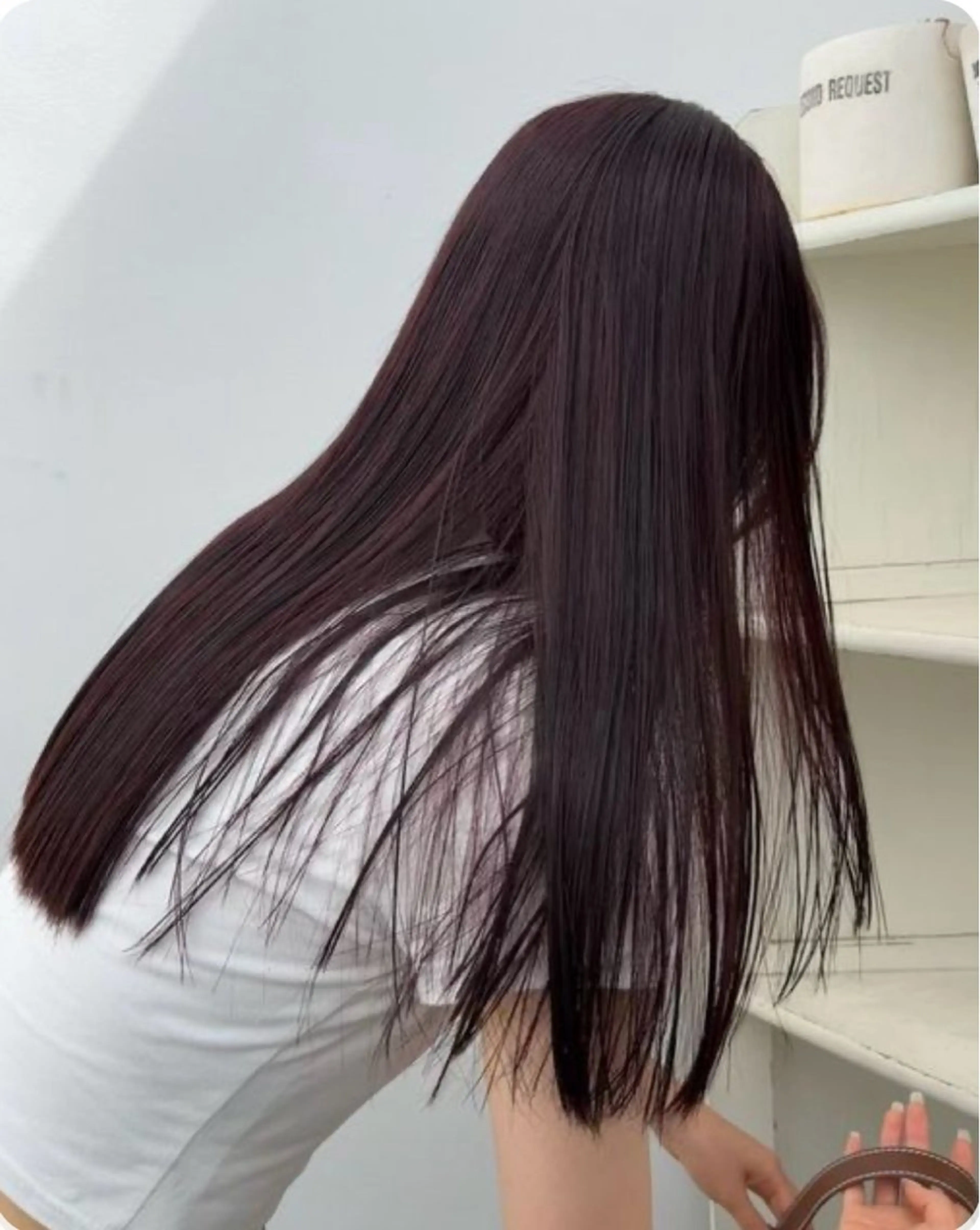 💜ラベンダーカラー💜の写真