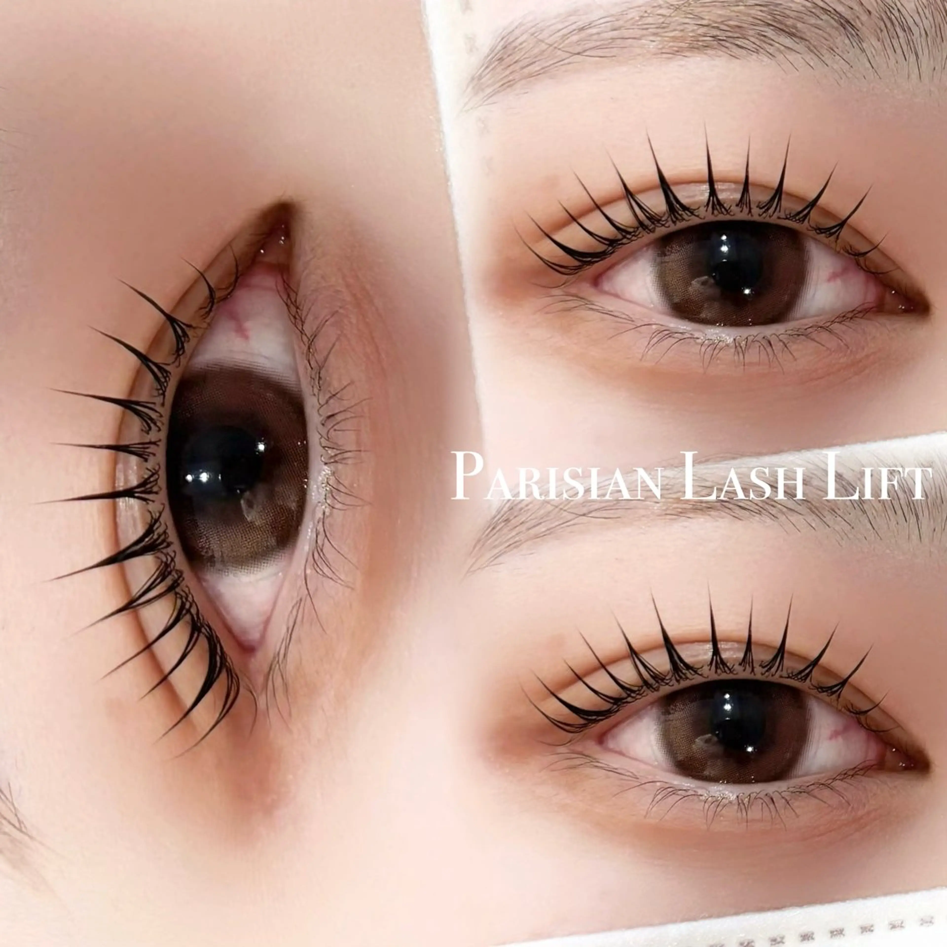 【✨期間限定✨】🌿パリジェンヌラッシュリフトorラッシュリフト🌿(エクステオフ有り)の写真