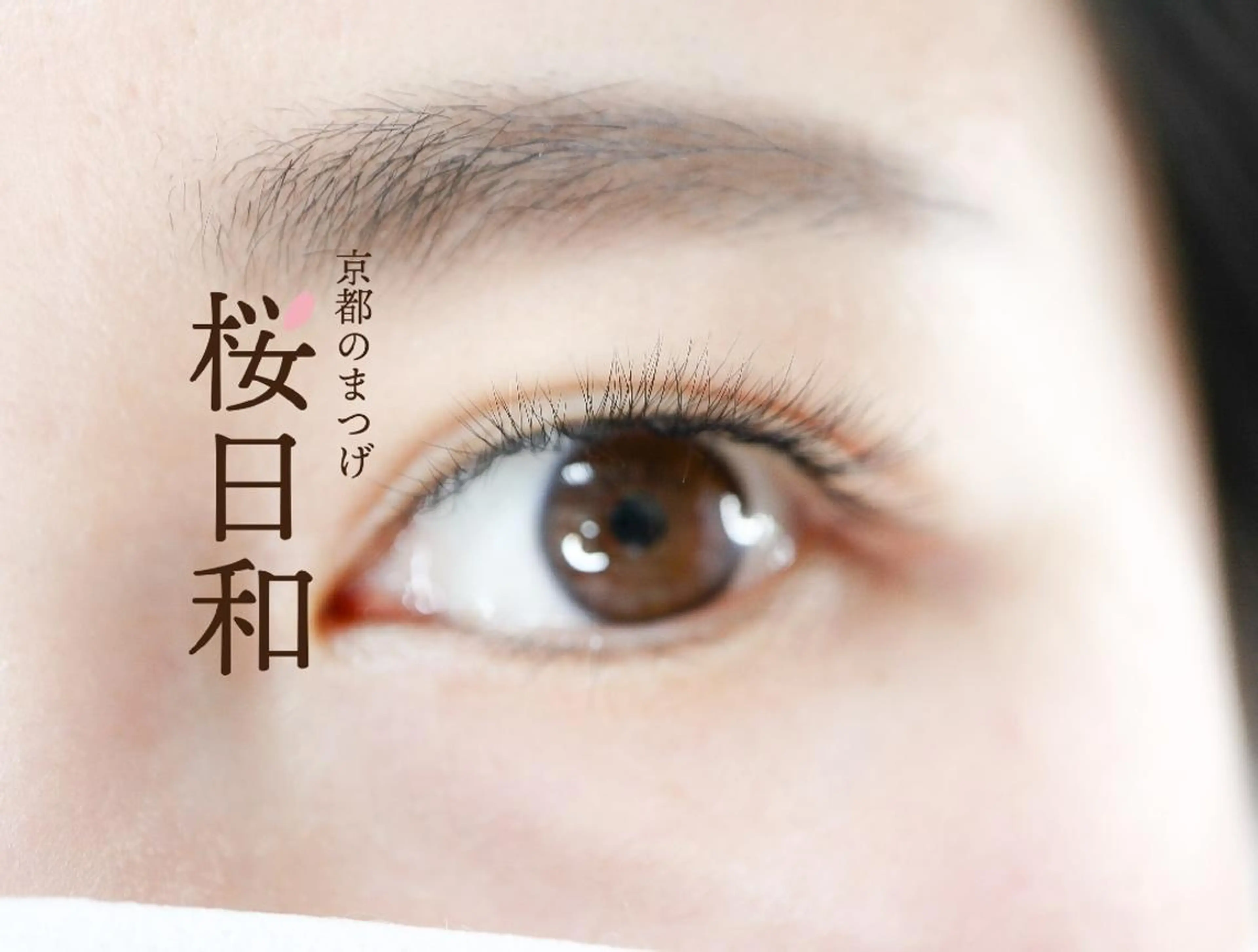 マツエク・マツパ キュート フラットラッシュ Jカール まつげパーマ 一重×まつ毛パーマ 京都のまつげ桜日和 小島美桜のマツエク・マツパデザイン