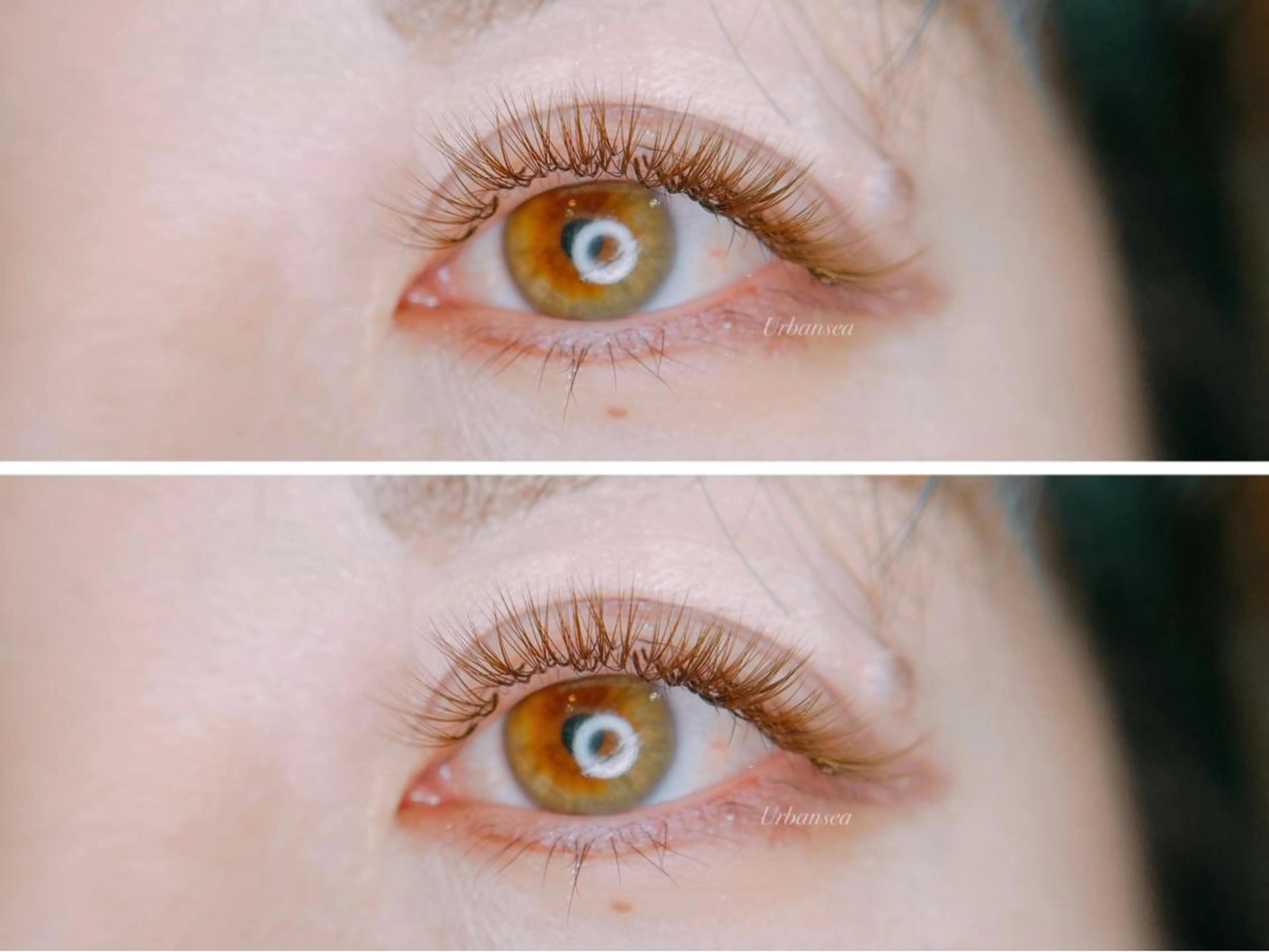 マツエク・マツパ カラーマツエク ボリュームラッシュ Urbansea Eyelash赤羽の眉毛・アイブロウイメージ