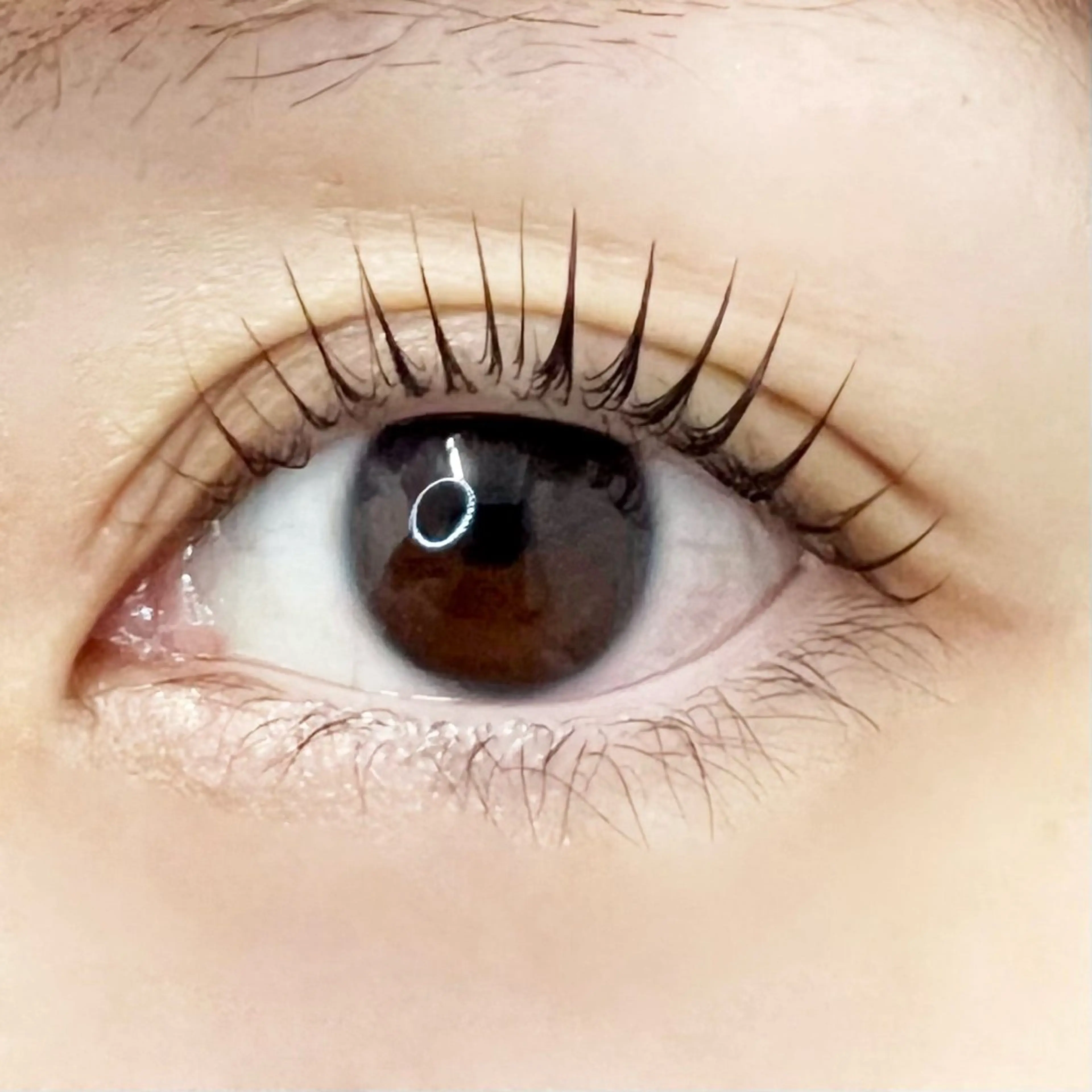 マツエク・マツパ JESSICA 新宿のマツエク・マツパデザイン