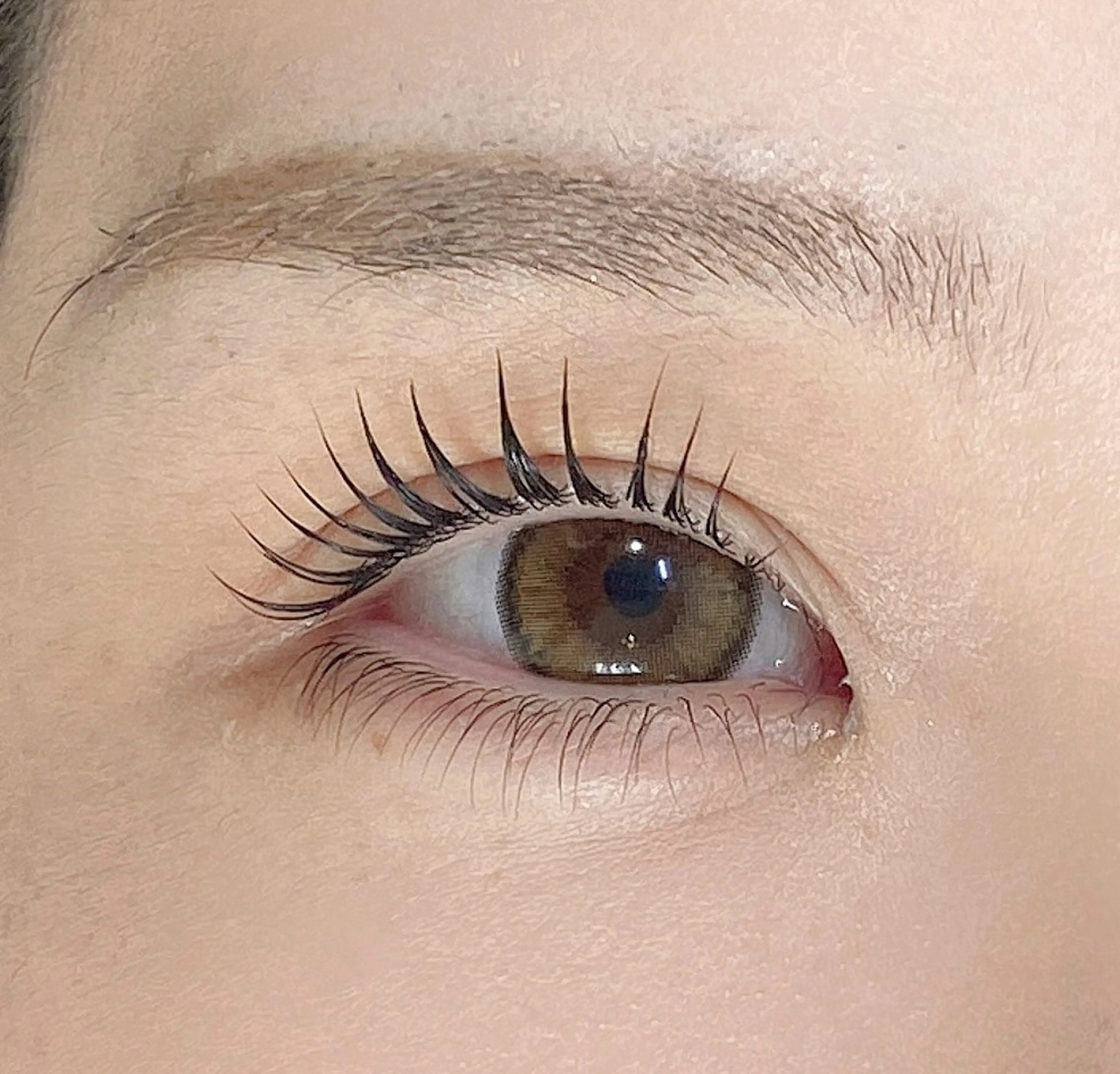 マツエク・マツパ パリジェンヌラッシュリフト まつげパーマ 下まつげエクステ 一重×まつ毛パーマ Diasalon横浜店所属・Diasalon 工藤のマツエク・マツパデザイン