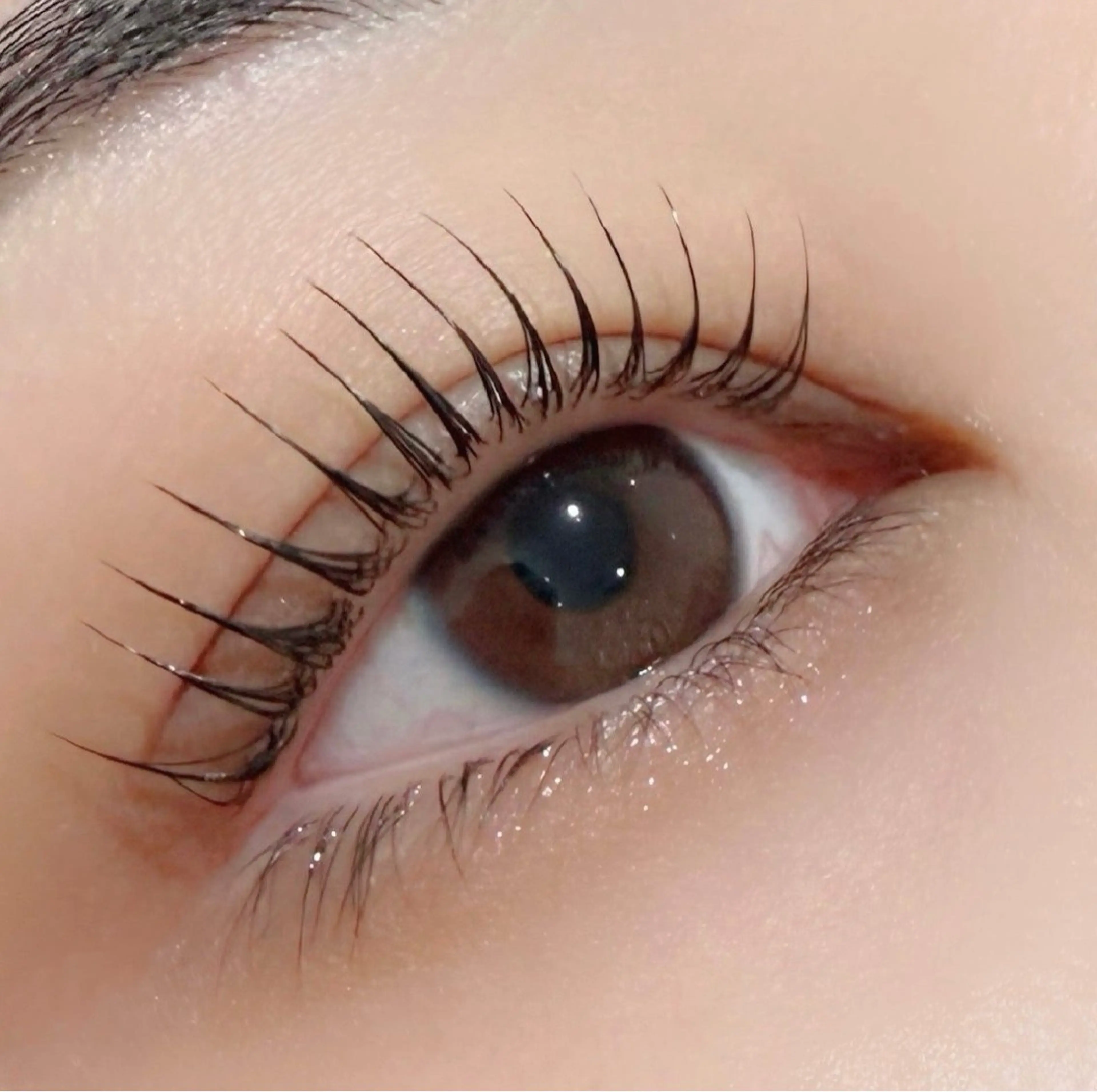 マツエク・マツパ マツパ 京橋/束感まつ毛& LED🦋藤本加奈のマツエク・マツパデザイン