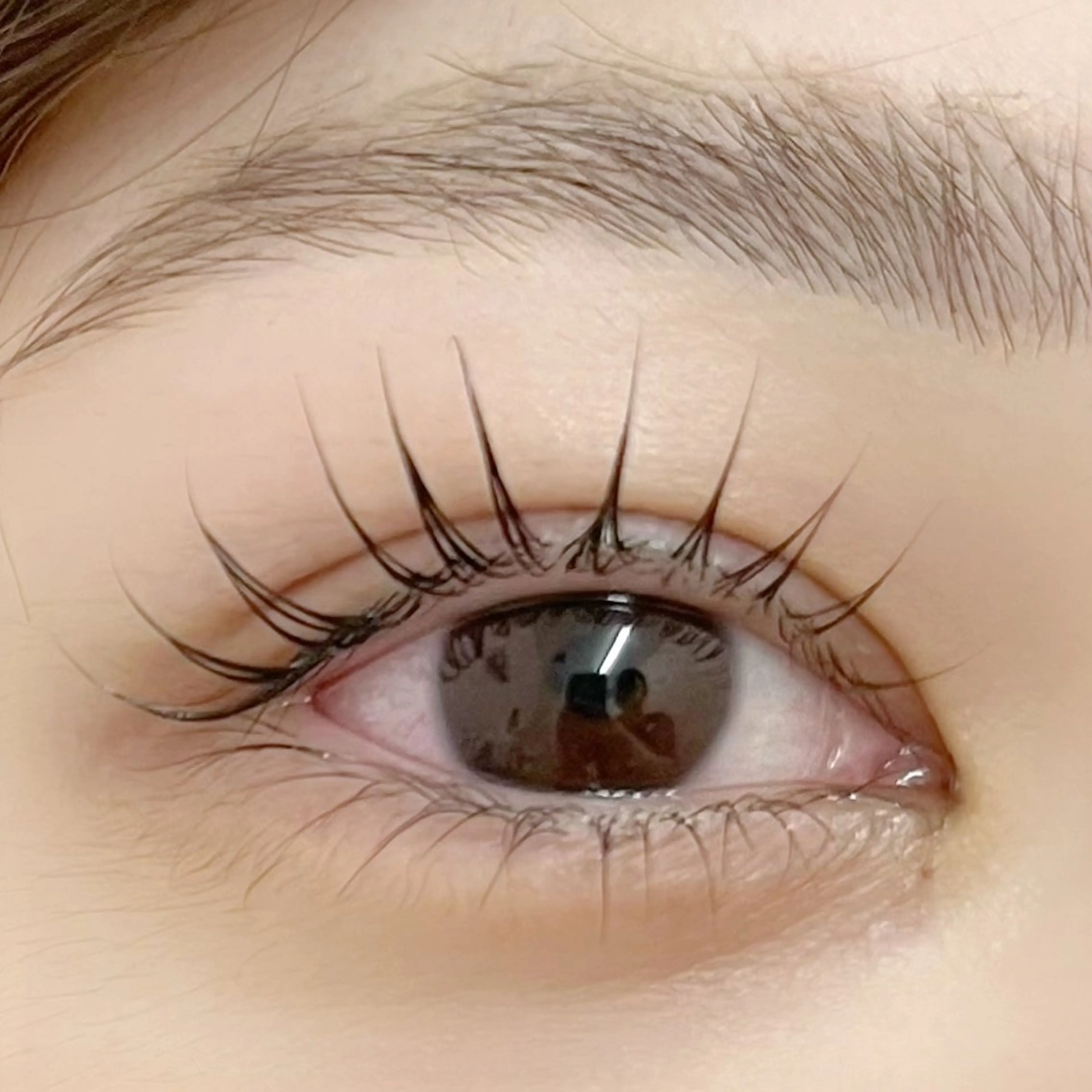 マツエク・マツパ natural eyebrow 東松戸所属・岩田 かのんのマツエク・マツパデザイン