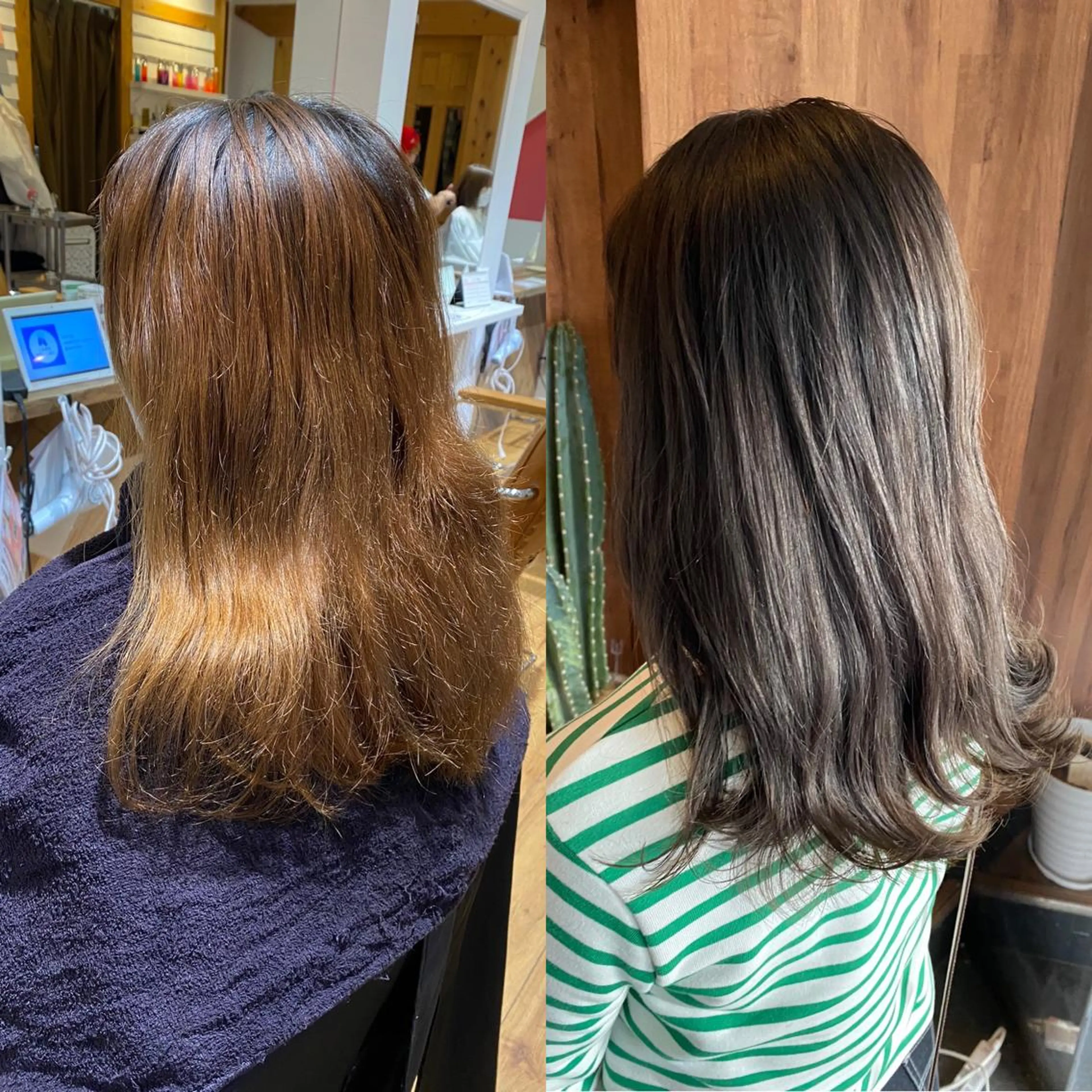 セミロング アッシュ カット ヘアカラー トリートメント 暗髪透明感カラー/ インナー/小島良太のヘアスタイル