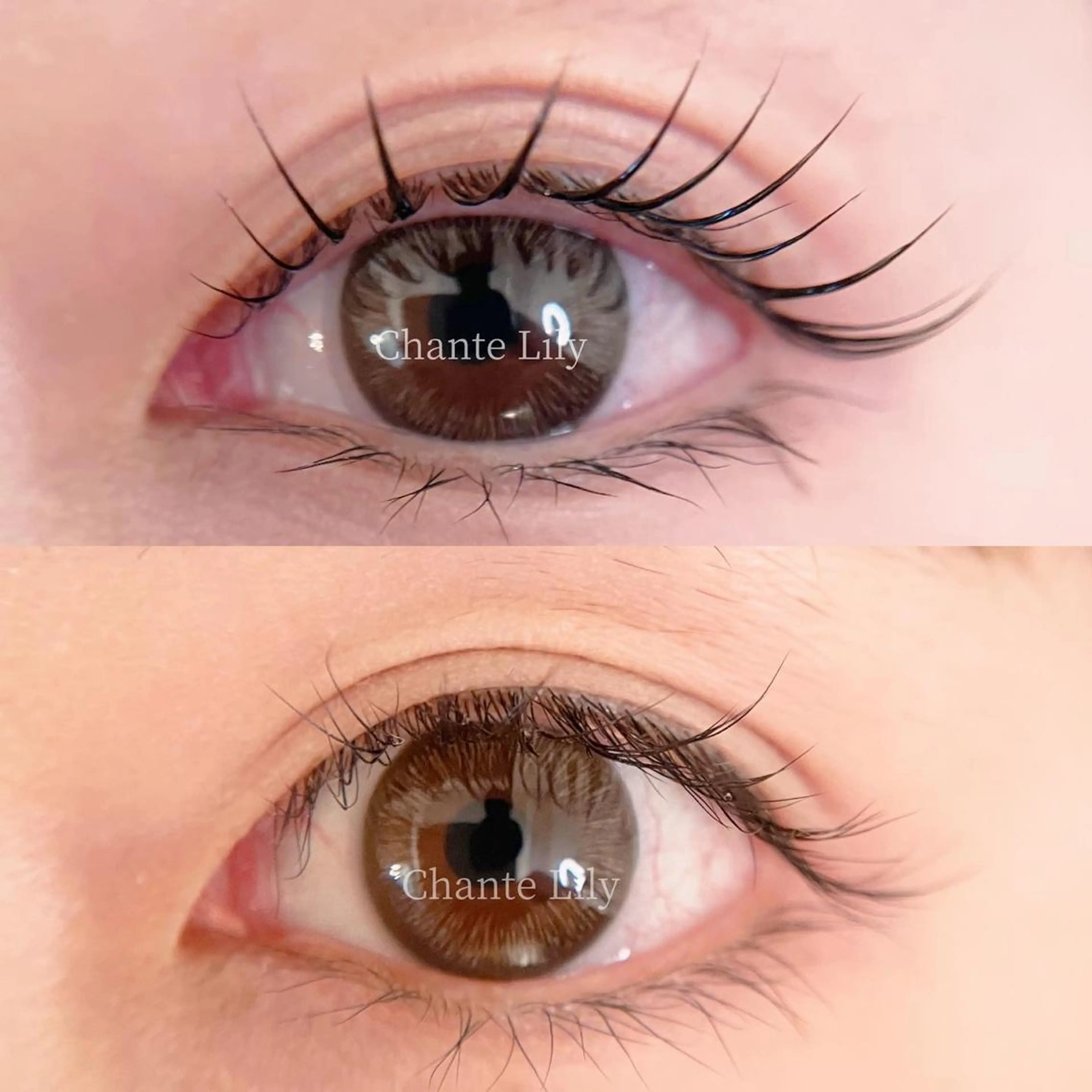 マツエク・マツパ ナチュラル マツパ Chante Lily所属・森崎 麗のマツエク・マツパデザイン