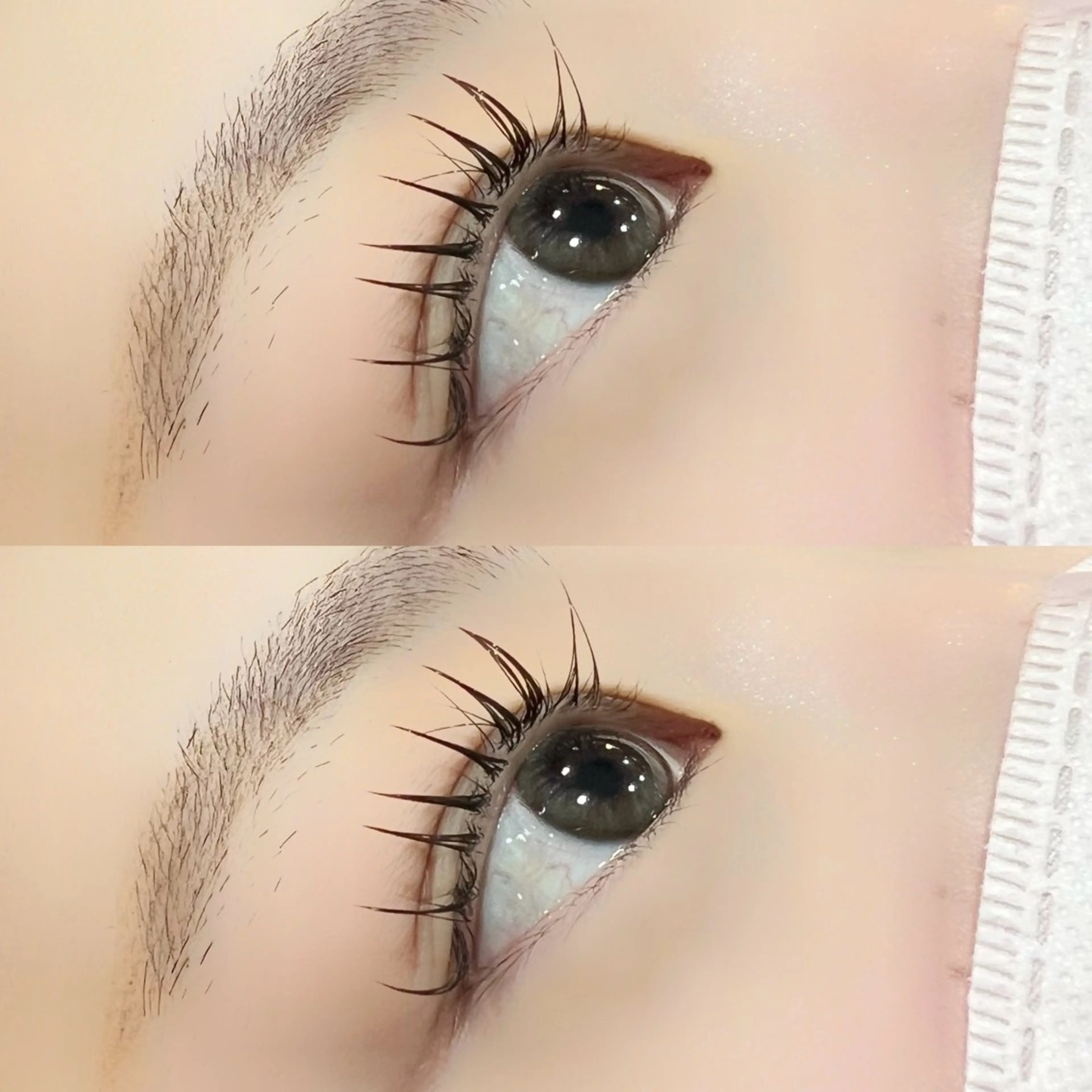 マツエク・マツパ Cカール ナチュラル H eyelash 吉祥寺店所属・nico/束感まつ毛 /アンドヘルシーのマツエク・マツパデザイン