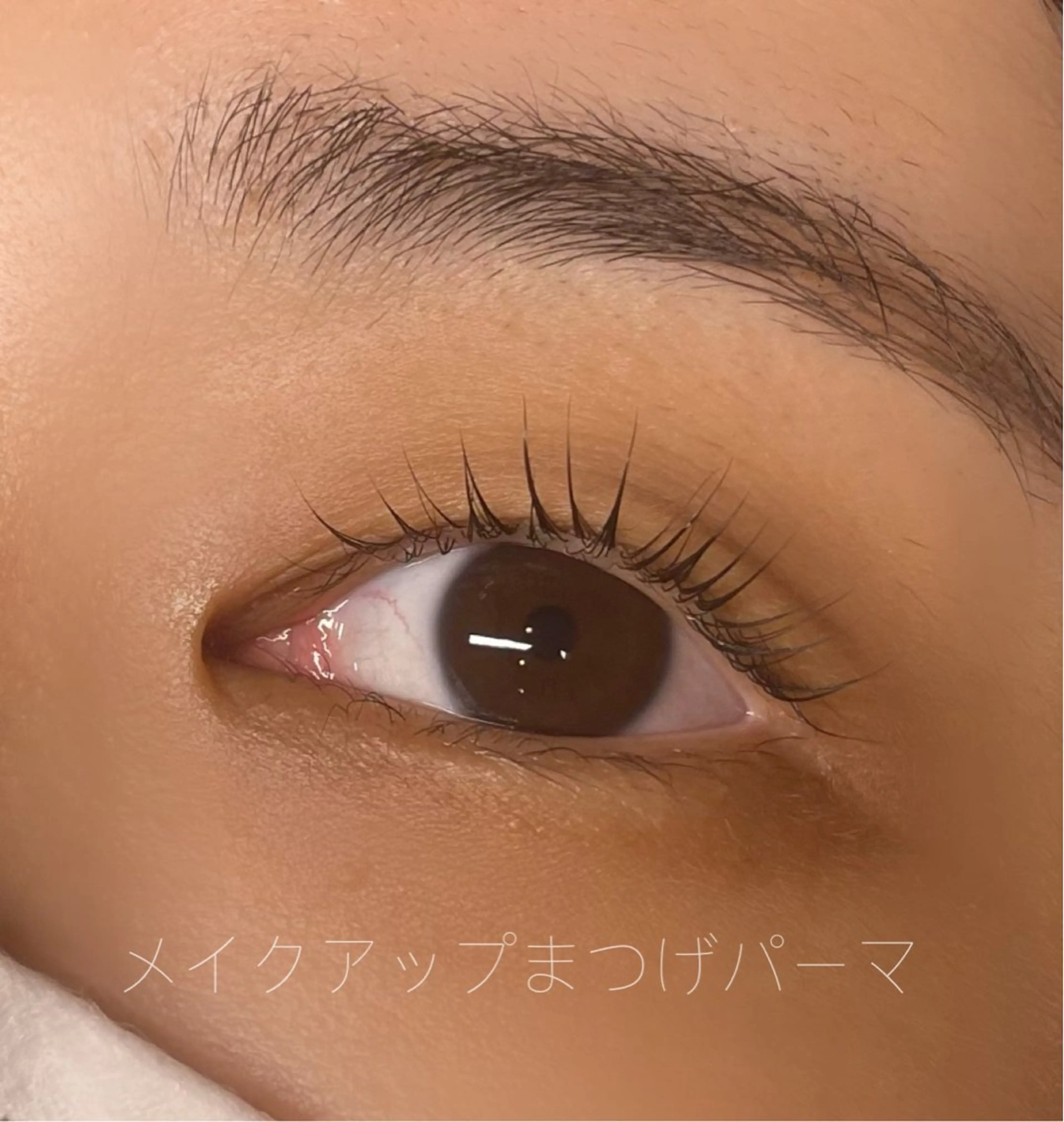 マツエク・マツパ eyelash salon　teraのマツエク・マツパデザイン