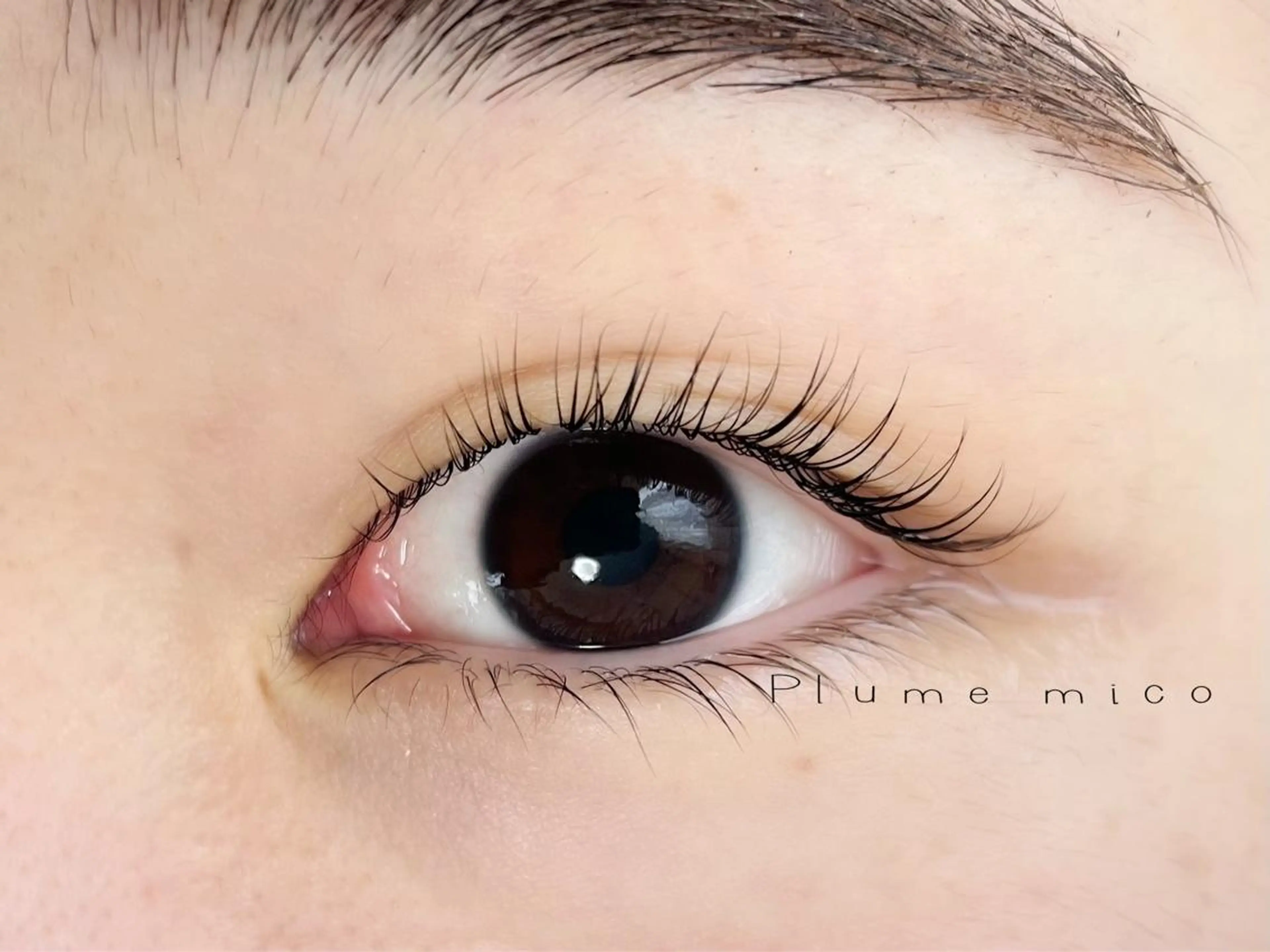 マツエク・マツパ マツパ Plume micoのマツエク・マツパデザイン