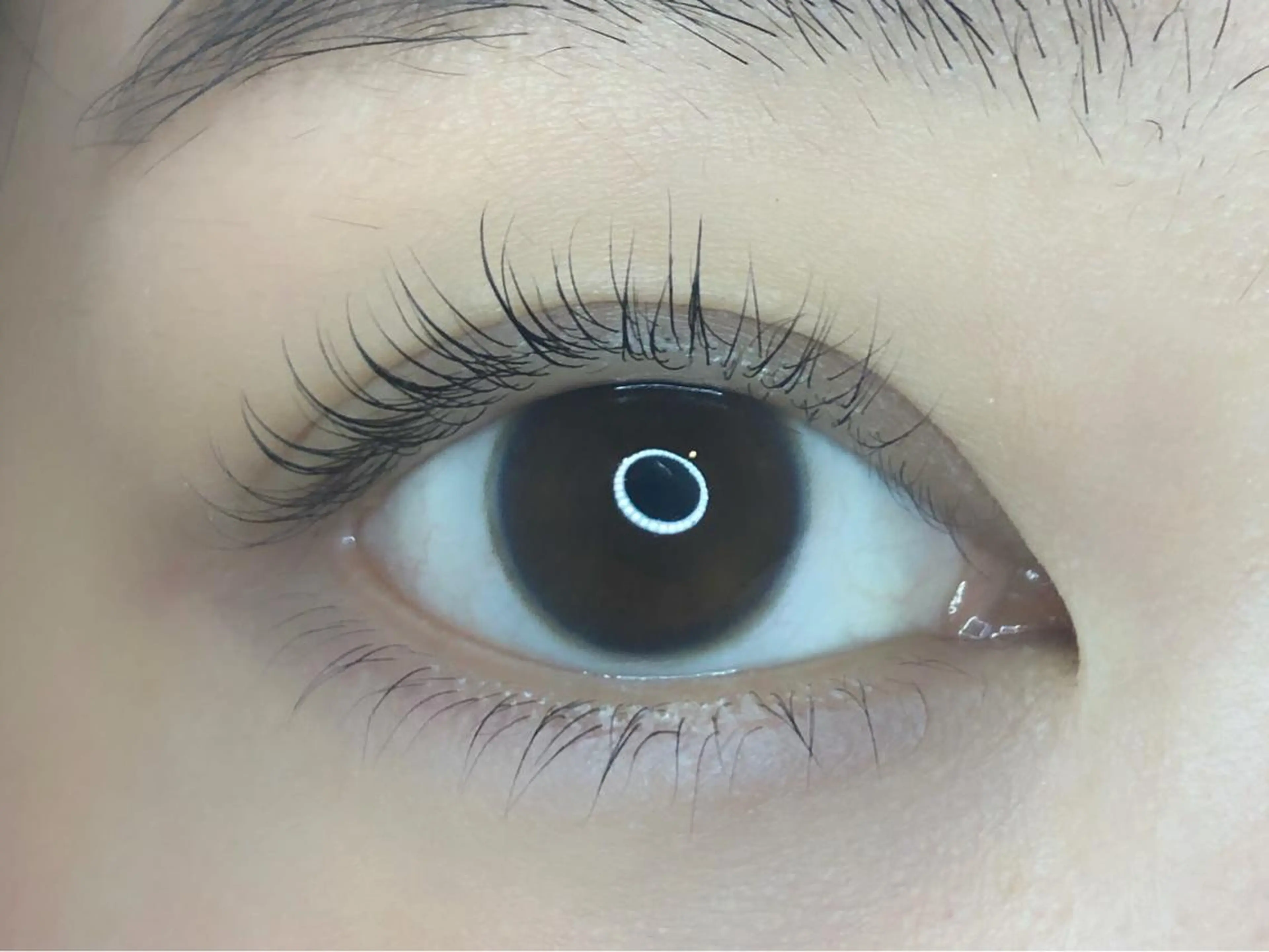 マツエク・マツパ sii. eyelashのマツエク・マツパデザイン