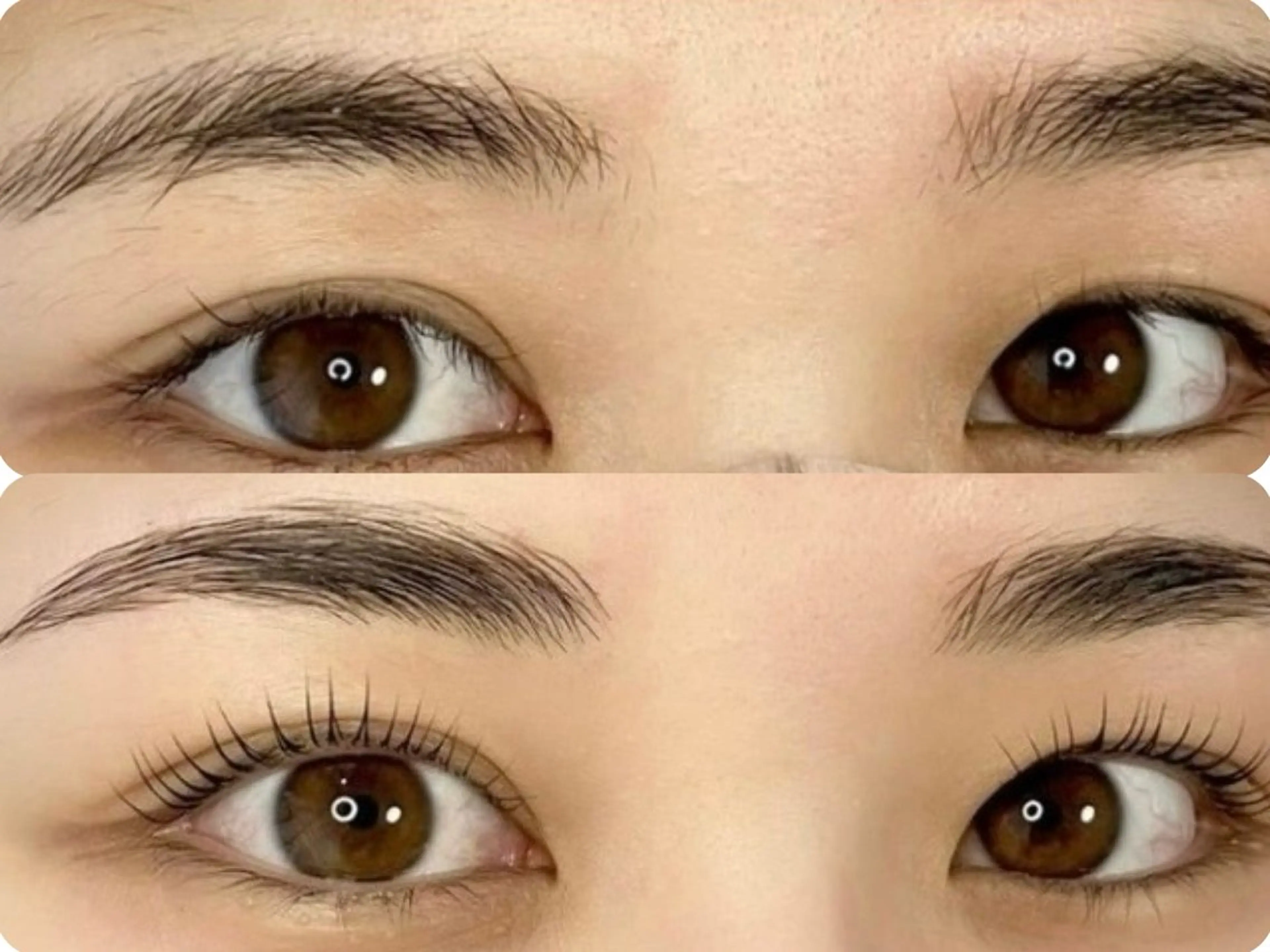 🌈【ハリウッドブロウリフト】モニター様募集中💫先着10名✨の写真