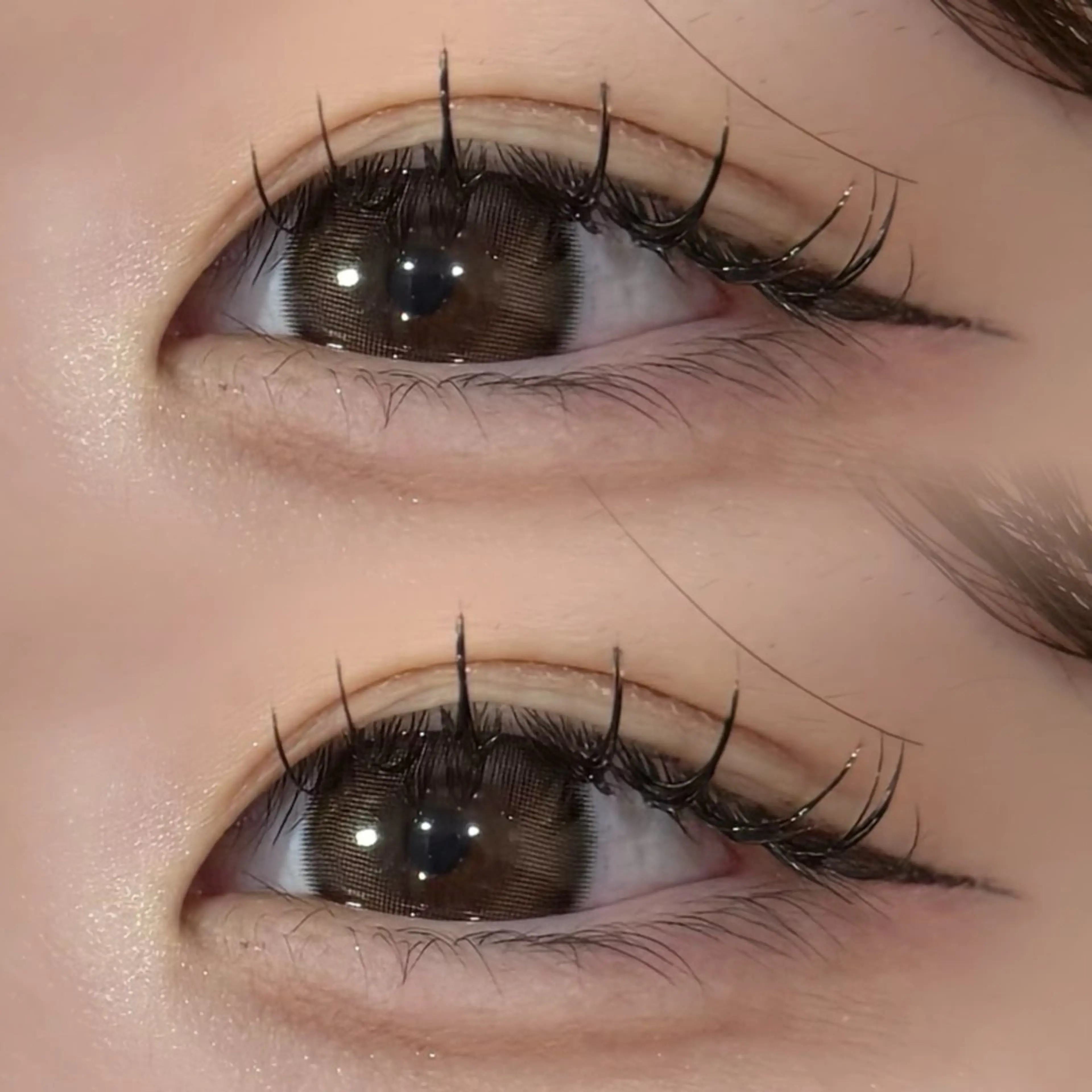 【21-26限定】根元コーティング付⭐️ オフなし セーブル80本 2時間の写真