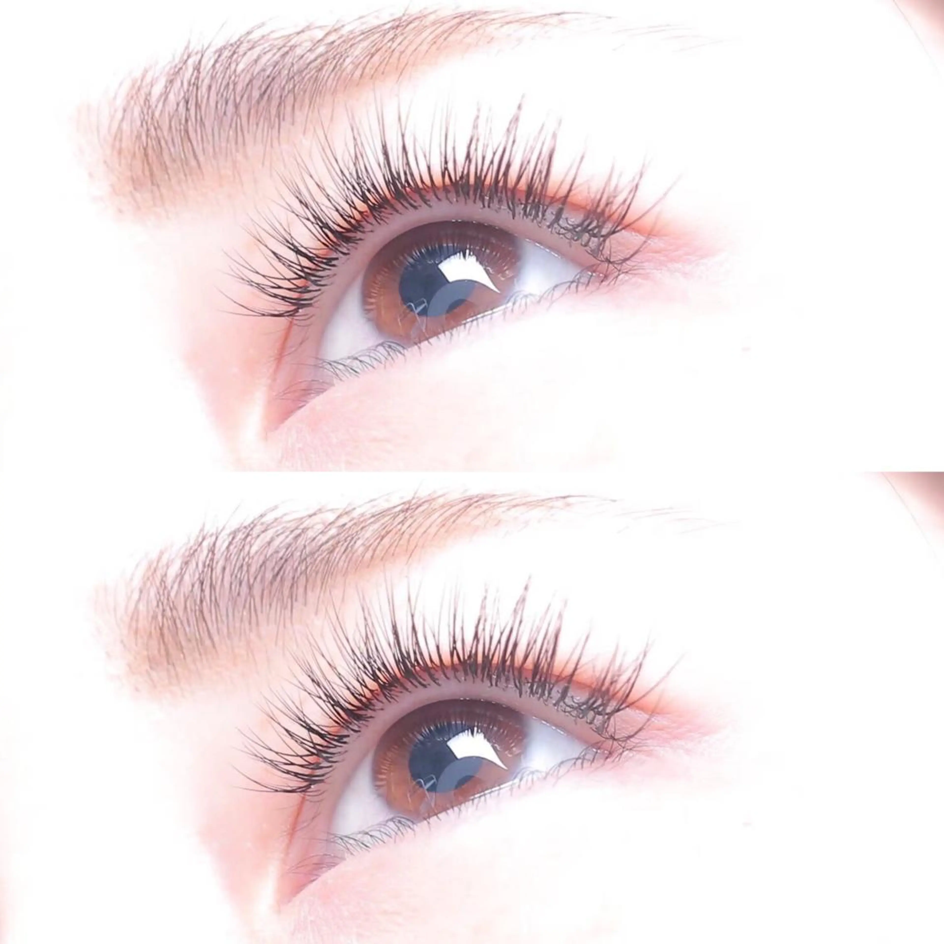 マツエク・マツパ chiri/韓国/ まつげパーマ/立川のマツエク・マツパデザイン