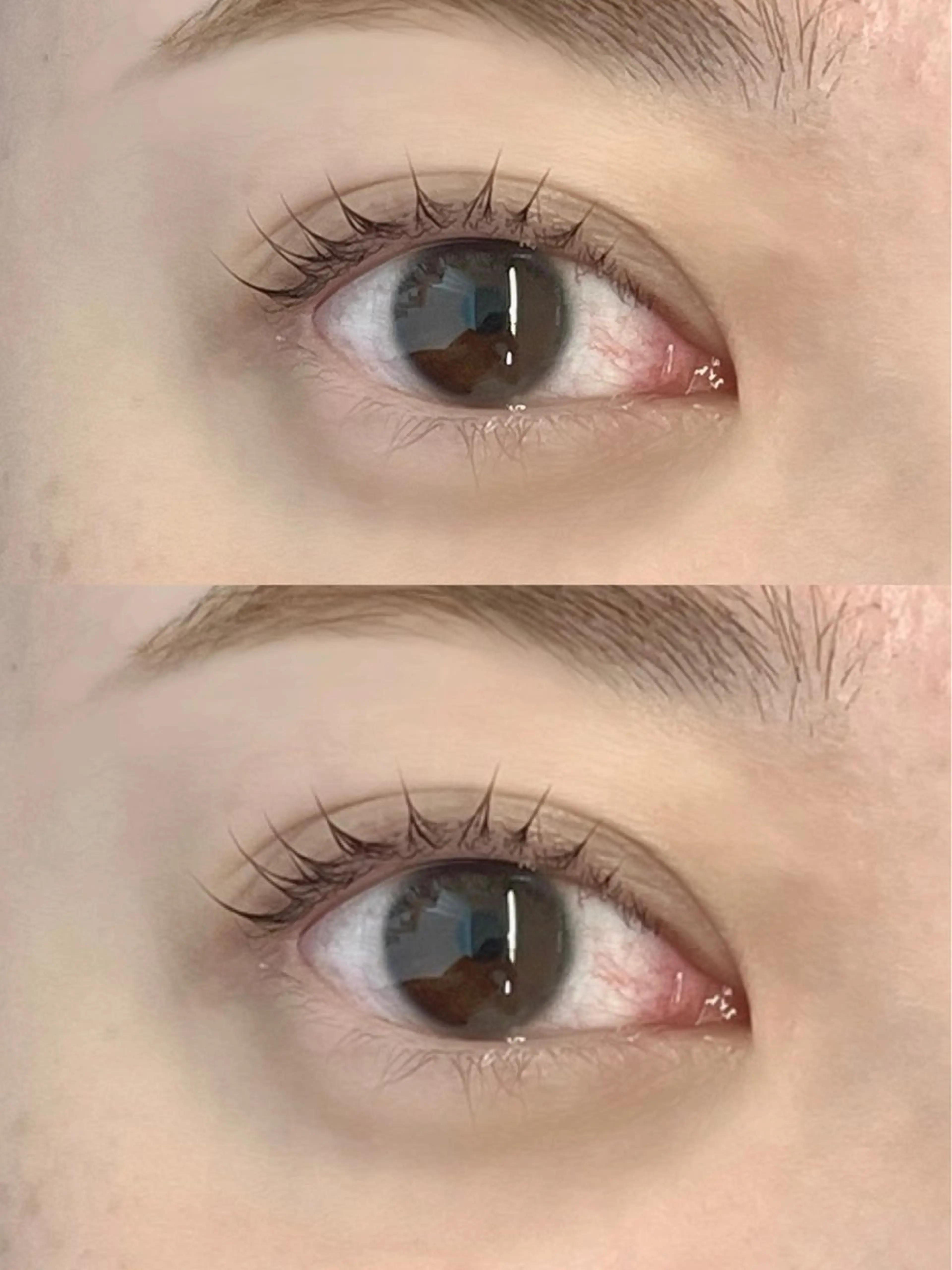 《アイシャンプー、トリートメント付き✨》まつ毛パーマの写真