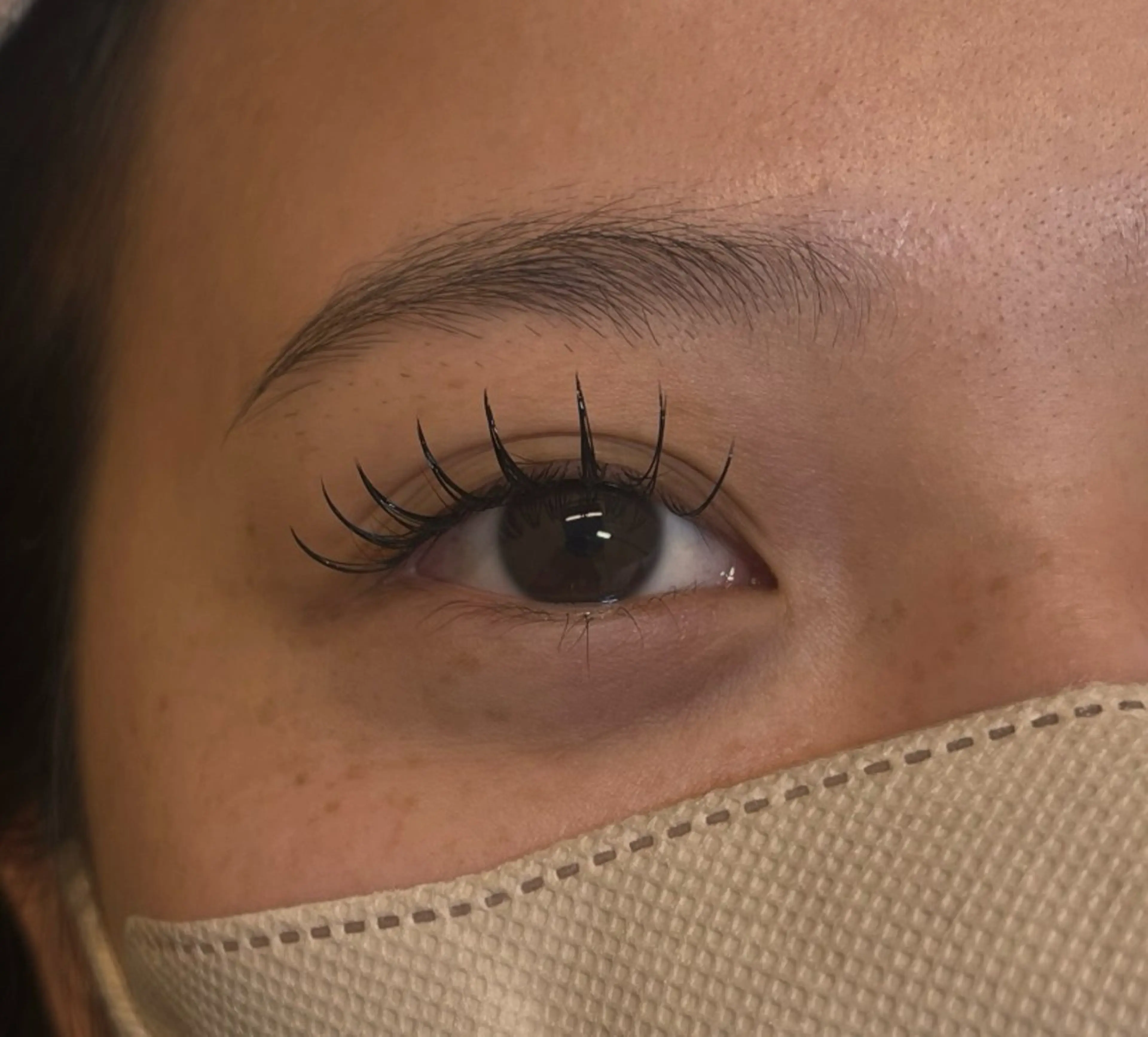 フラットラッシュ120本🪸(初回オフ無料)の写真