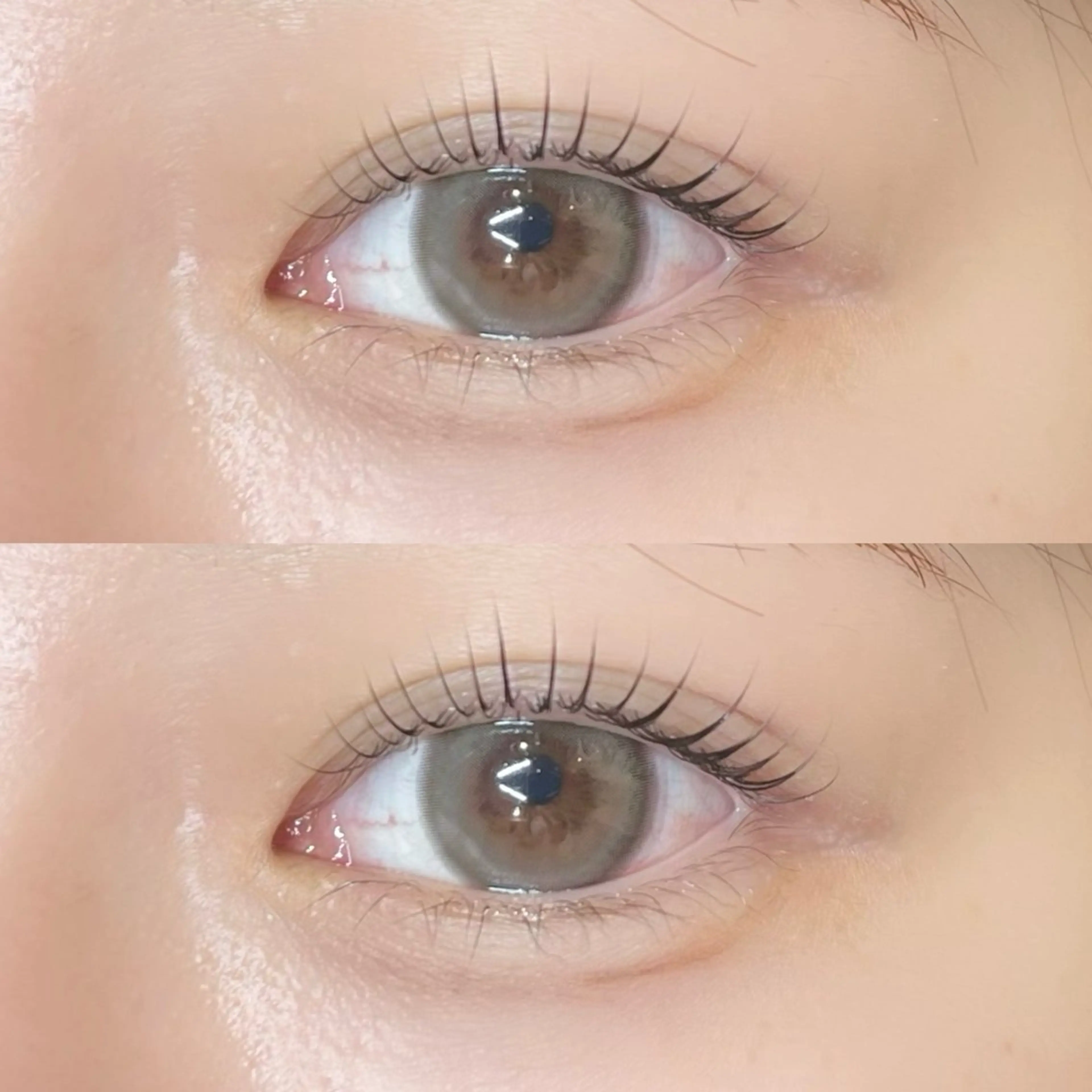 ใใใจใฏใปใใใ ๐๐๐๐๐ ๆ่ฑใฎใใใจใฏใปใใใใใถใคใณ