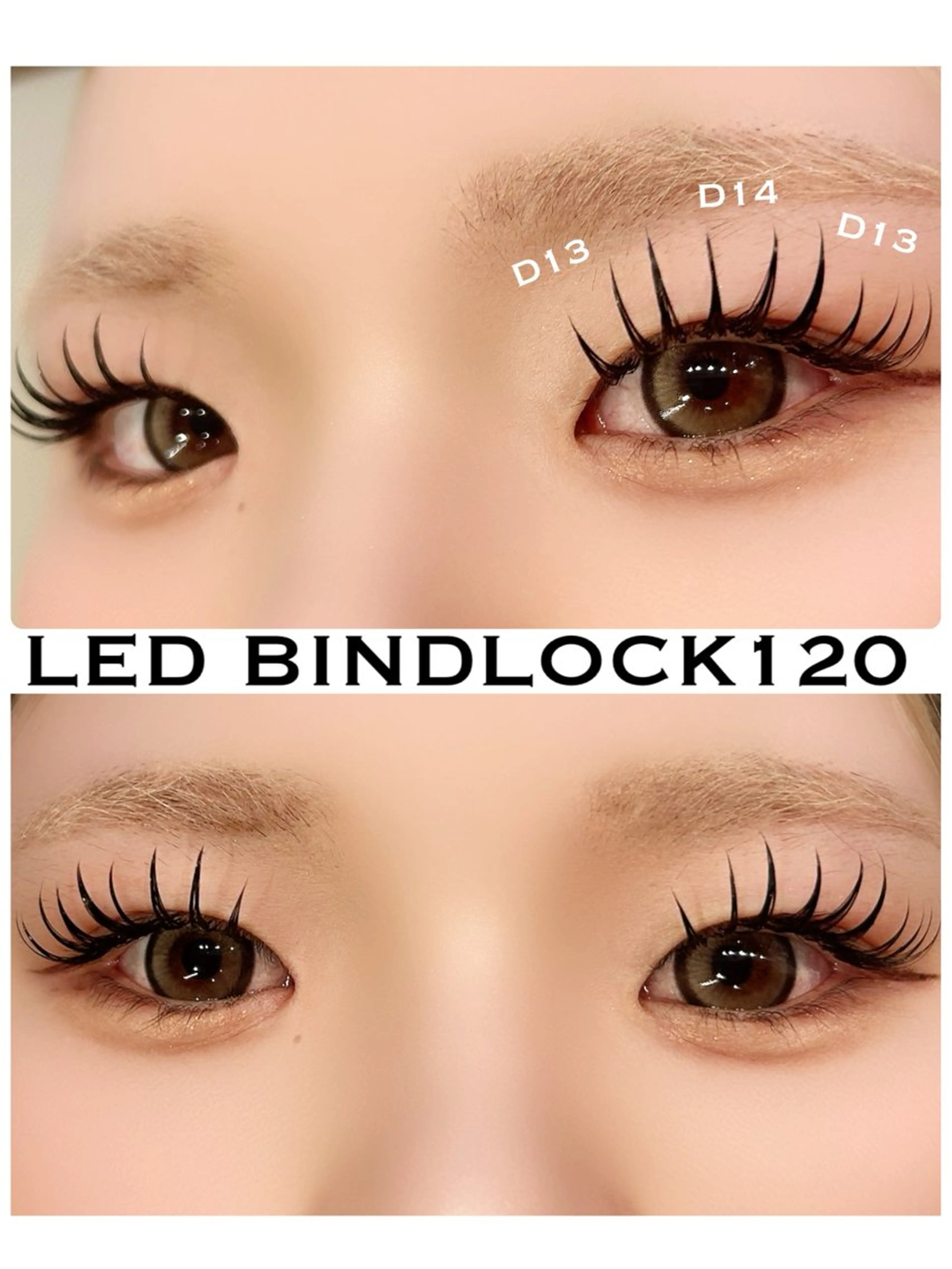 🦋LEDエクステ🦋バインドロック120束🫧オフ•仕上げコーティング込🫧の写真