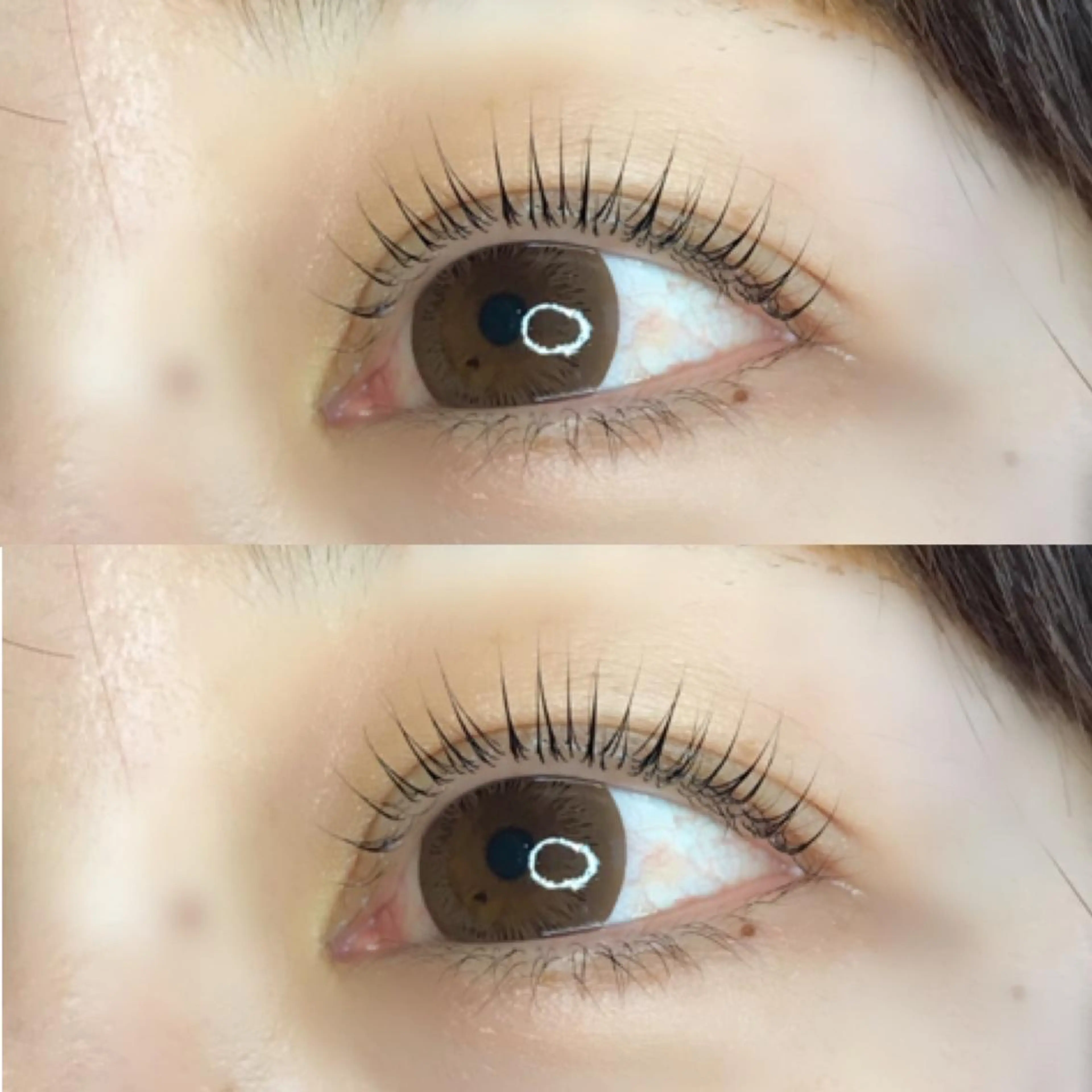 マツエク・マツパ マツパ 《eyelash ｉｉｔｅ》森のマツエク・マツパデザイン