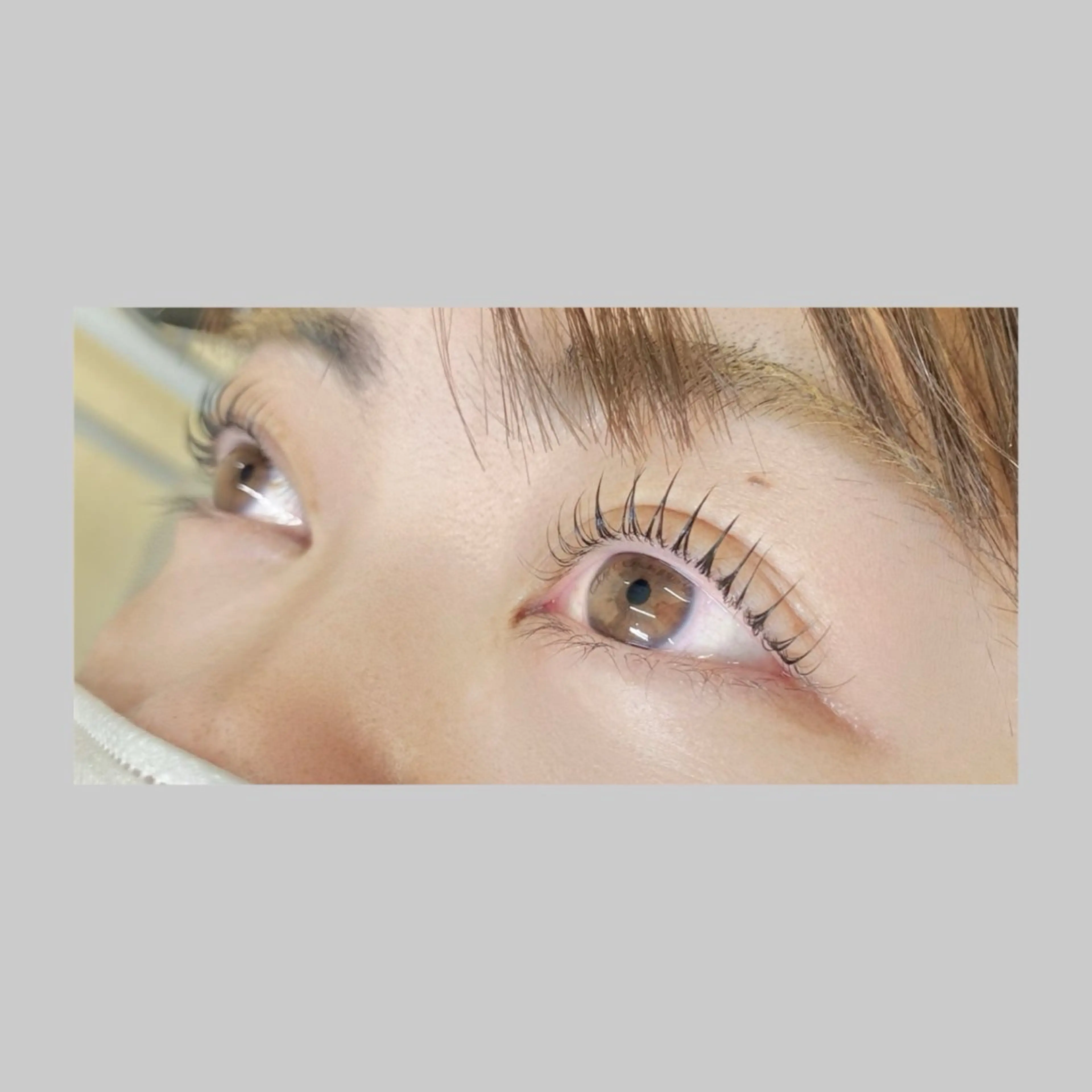マツエク・マツパ マツパ 🌱Alba 池袋🌱  関根の眉毛・アイブロウイメージ