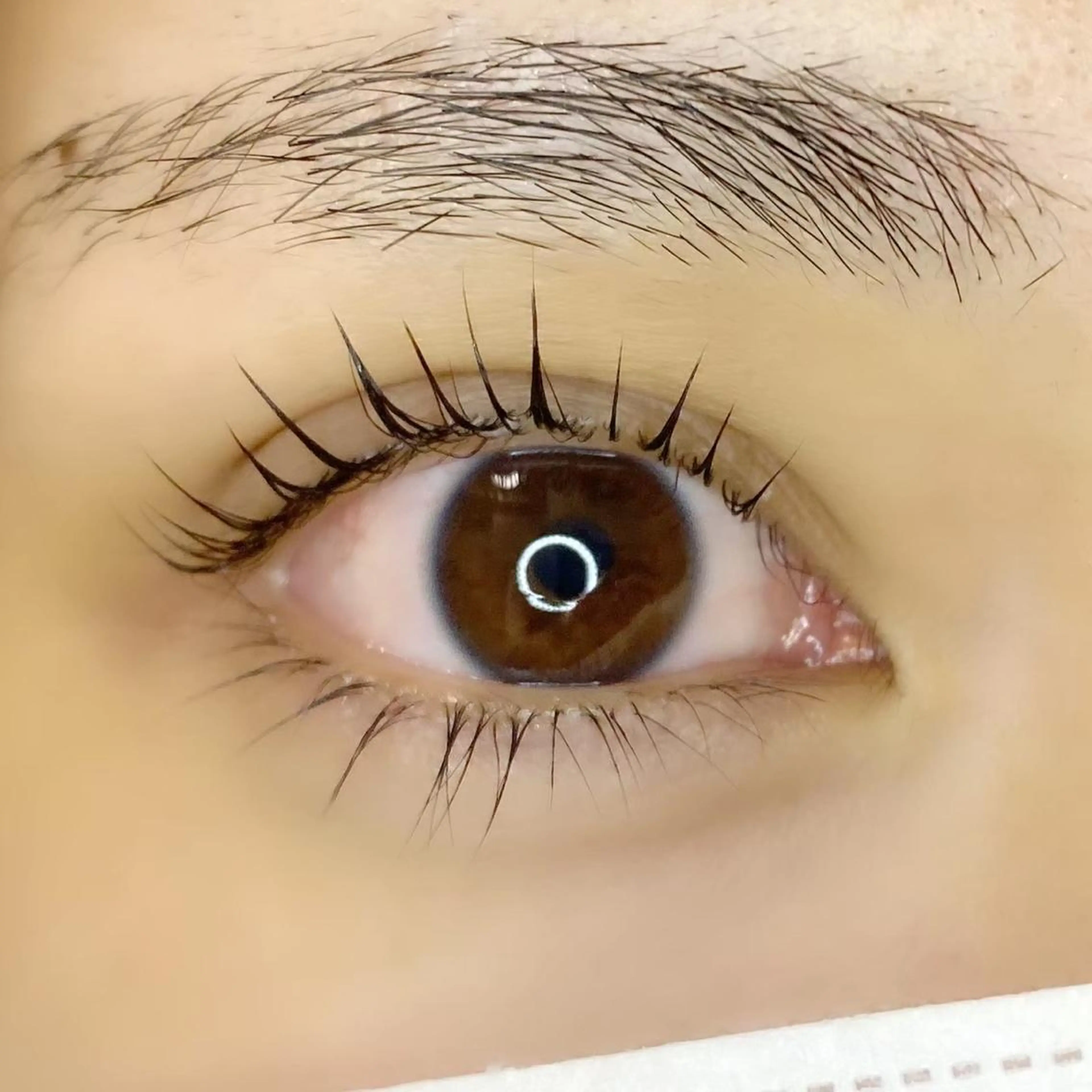 マツエク・マツパ ANELA福島店所属・ANELA福島店 SATOのマツエク・マツパデザイン