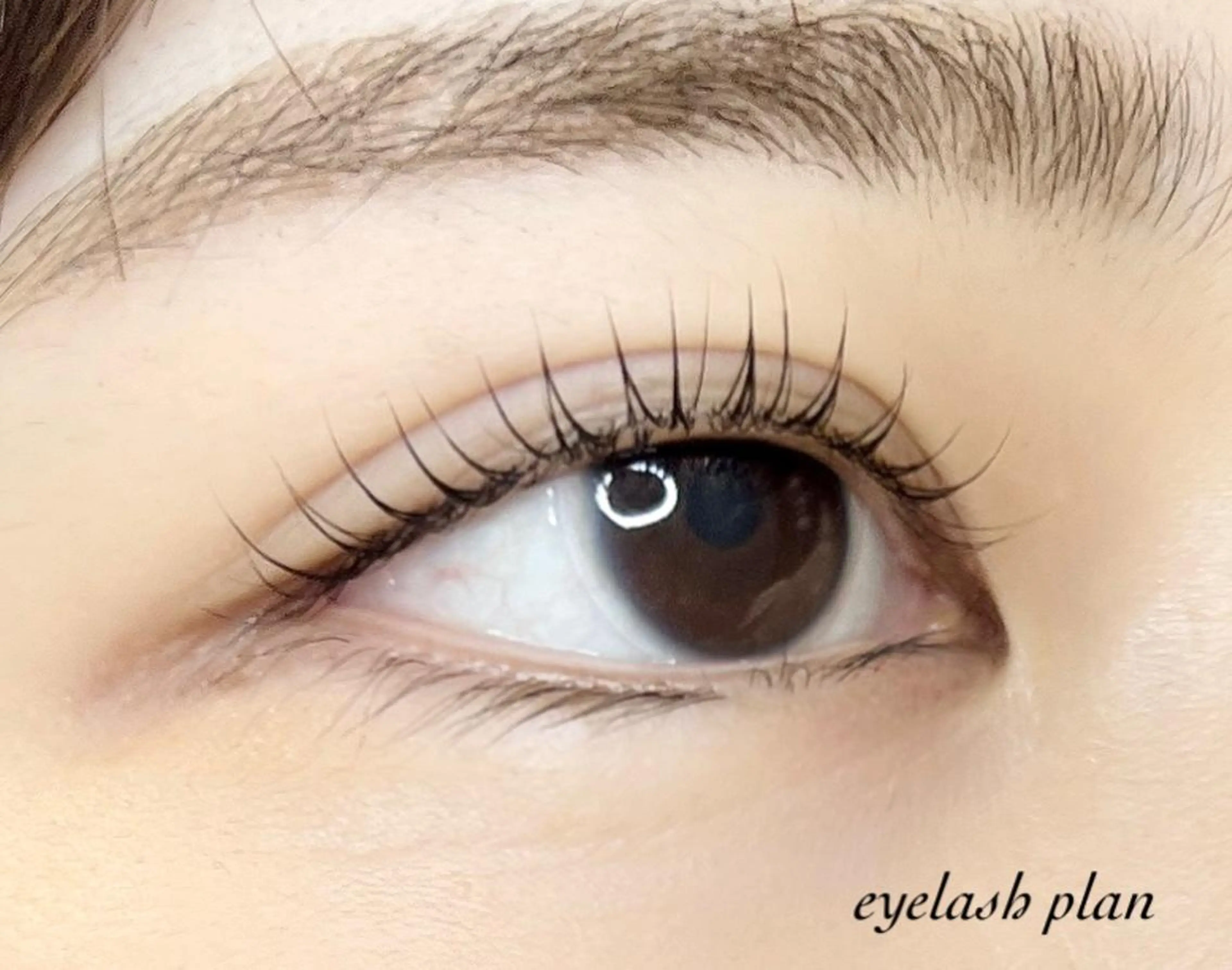 マツエク・マツパ マツパ eyelash plan api所属・【plan】 kaoriのマツエク・マツパデザイン
