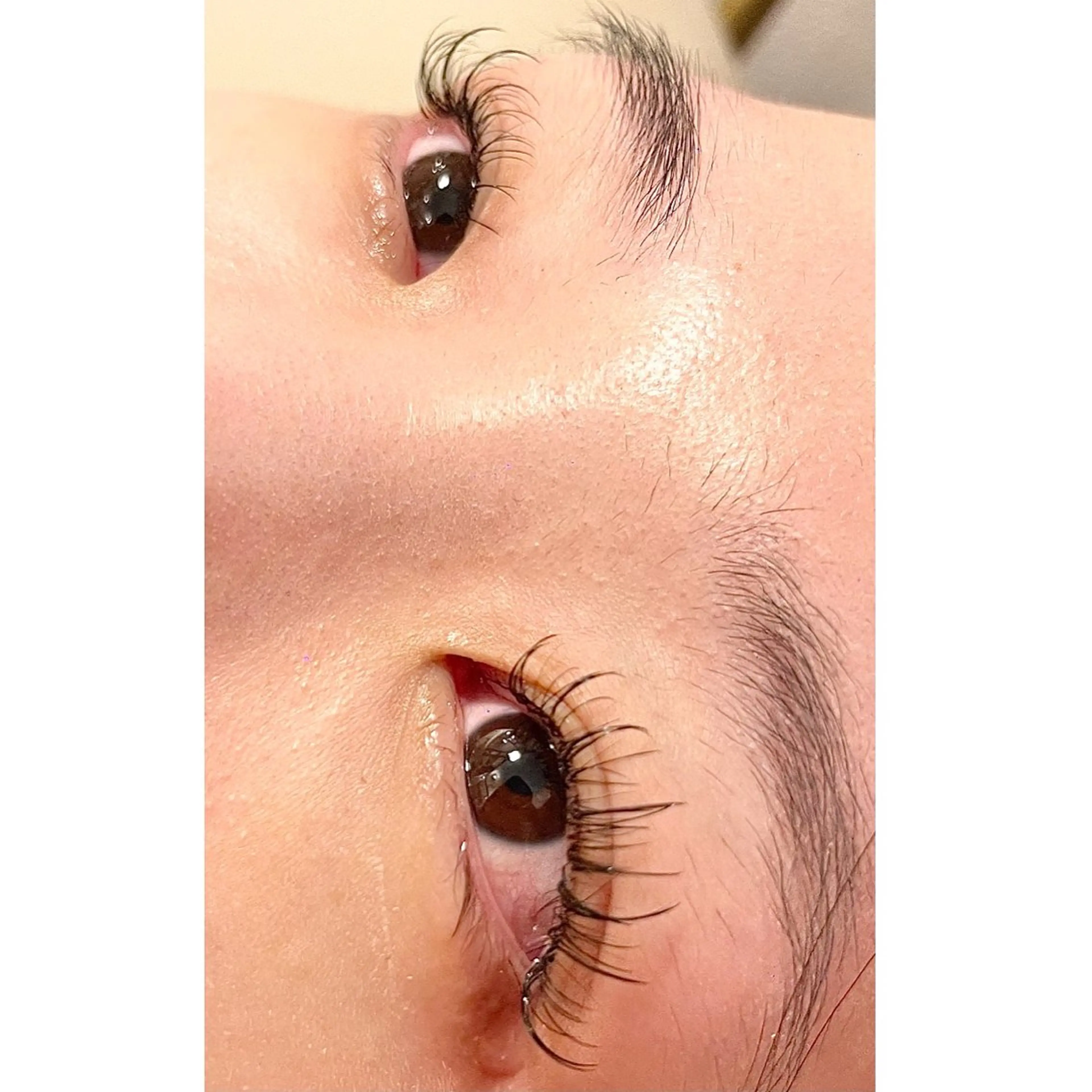 マツエク・マツパ マツエク eyelash GARDENのマツエク・マツパデザイン