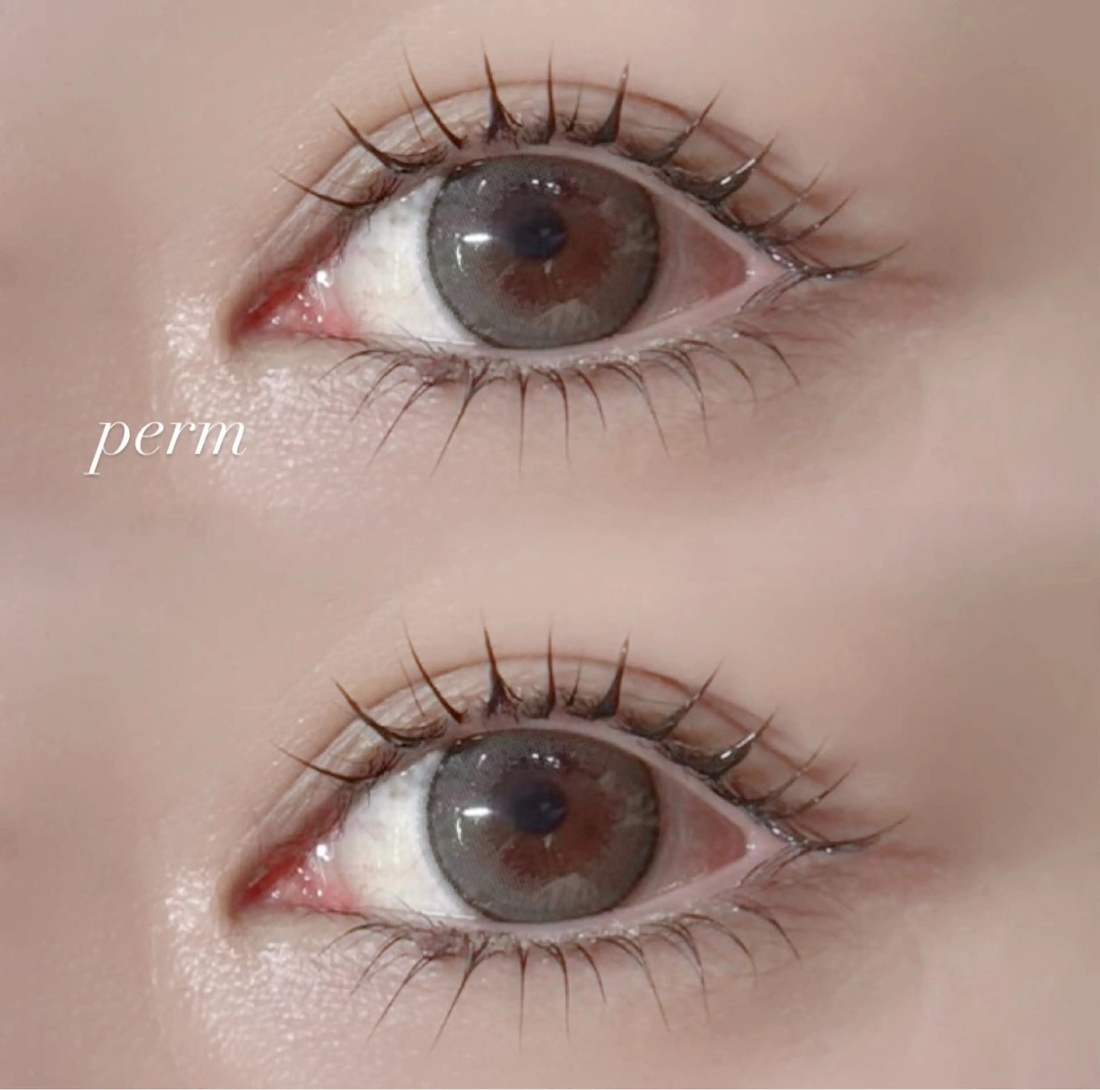 【12月限定】🎀まつ毛パーマ 上下の写真