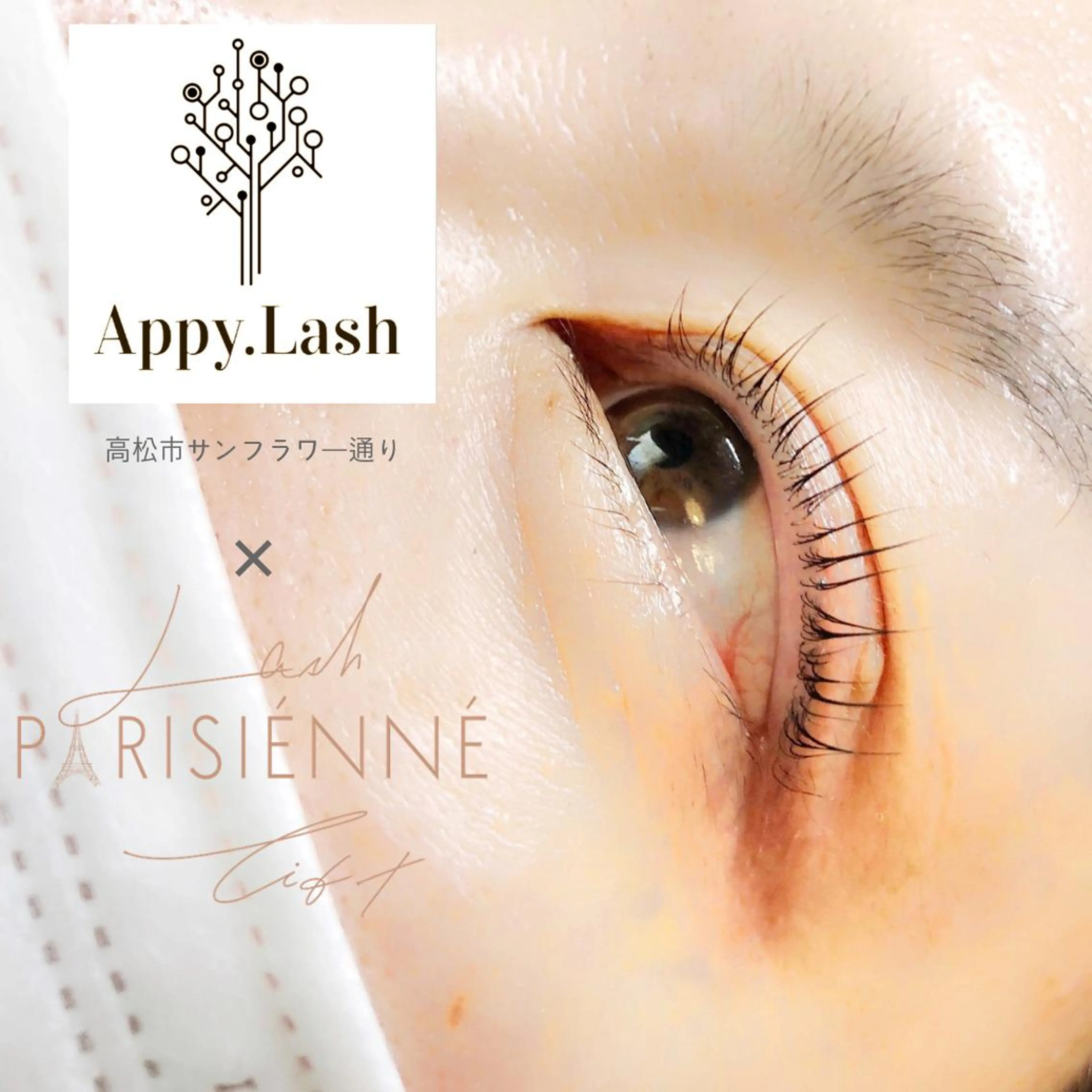 マツエク・マツパ フラットラッシュ パリジェンヌラッシュリフト ボリュームラッシュ まつげと眉の専門店 Appy.Lashのマツエク・マツパデザイン