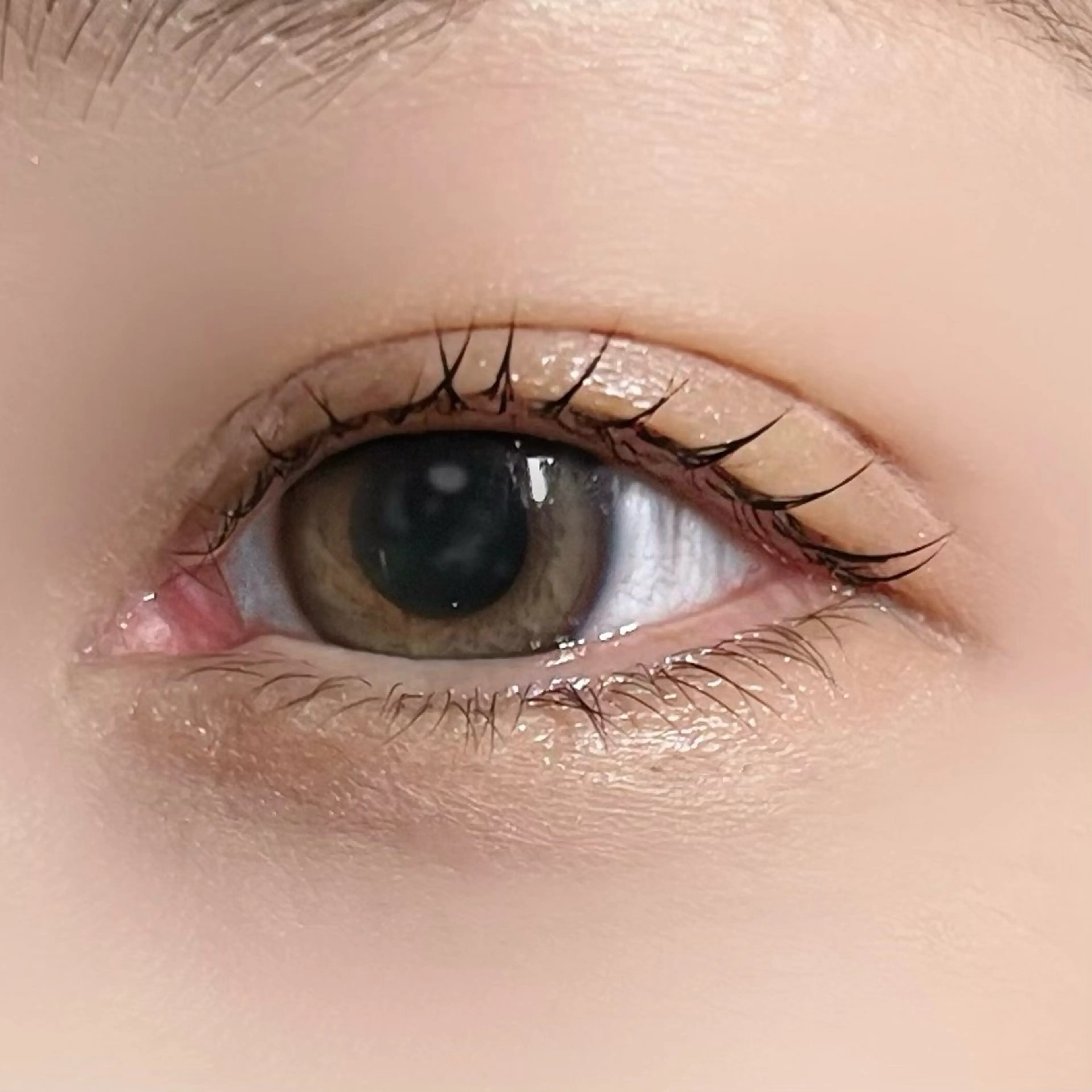 マツエク・マツパ 垢抜け眉WAX専門 ちゅるんまつげ|鎌倉の眉毛・アイブロウイメージ