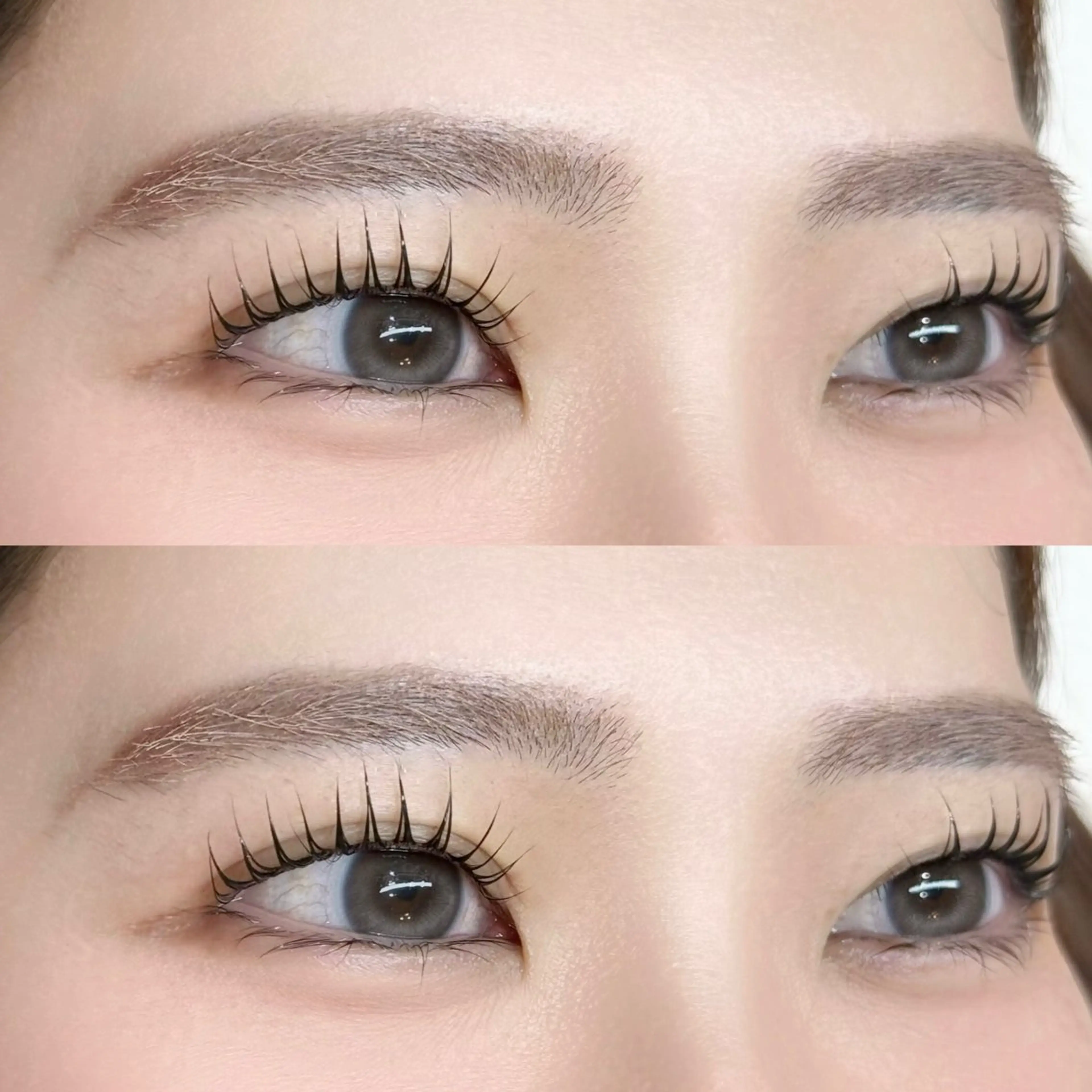 まつげパーマ・パリジェンヌラッシュリフト⭐︎カール選べます🪄の写真