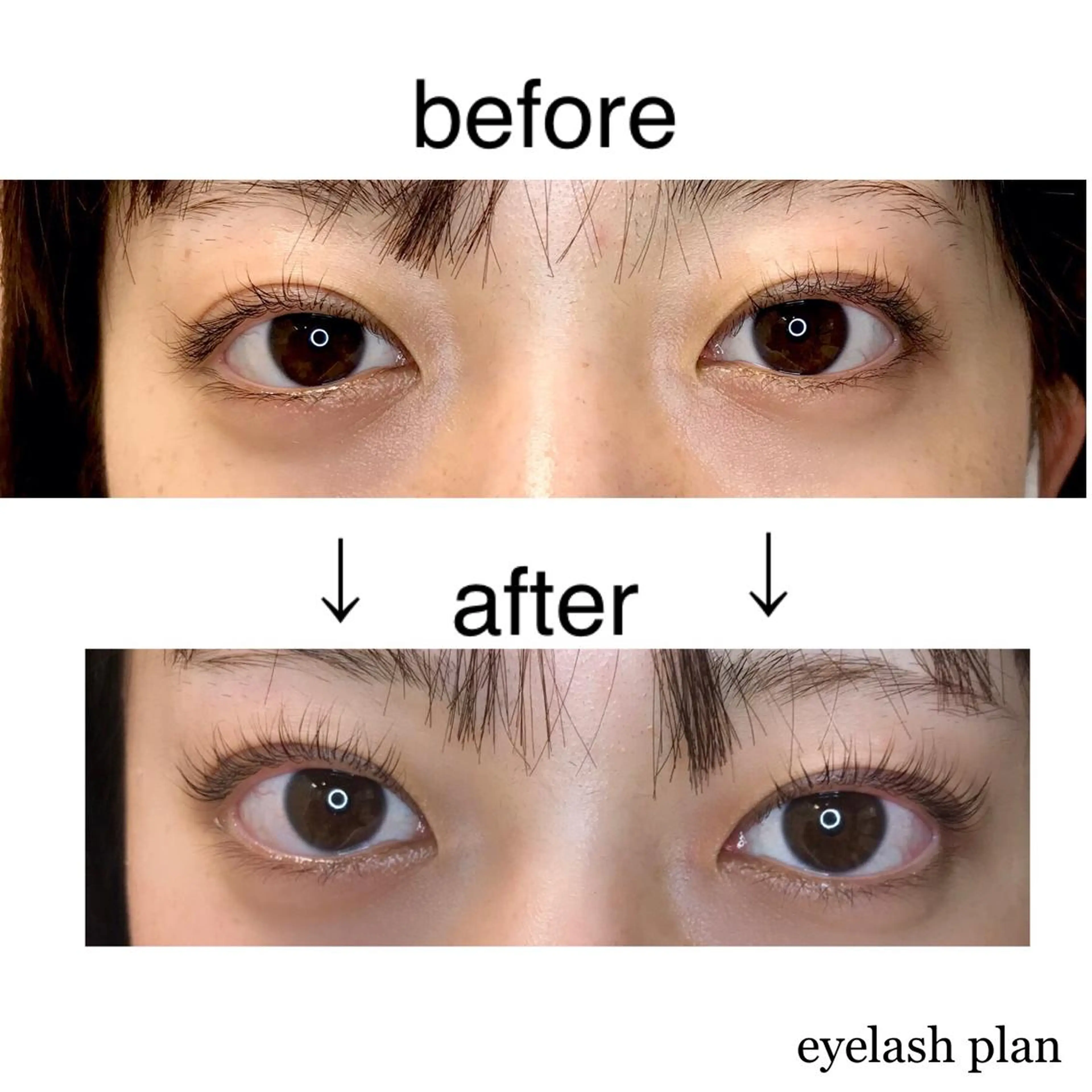 マツエク・マツパ マツパ 《eyelash ｉｉｔｅ》森のマツエク・マツパデザイン