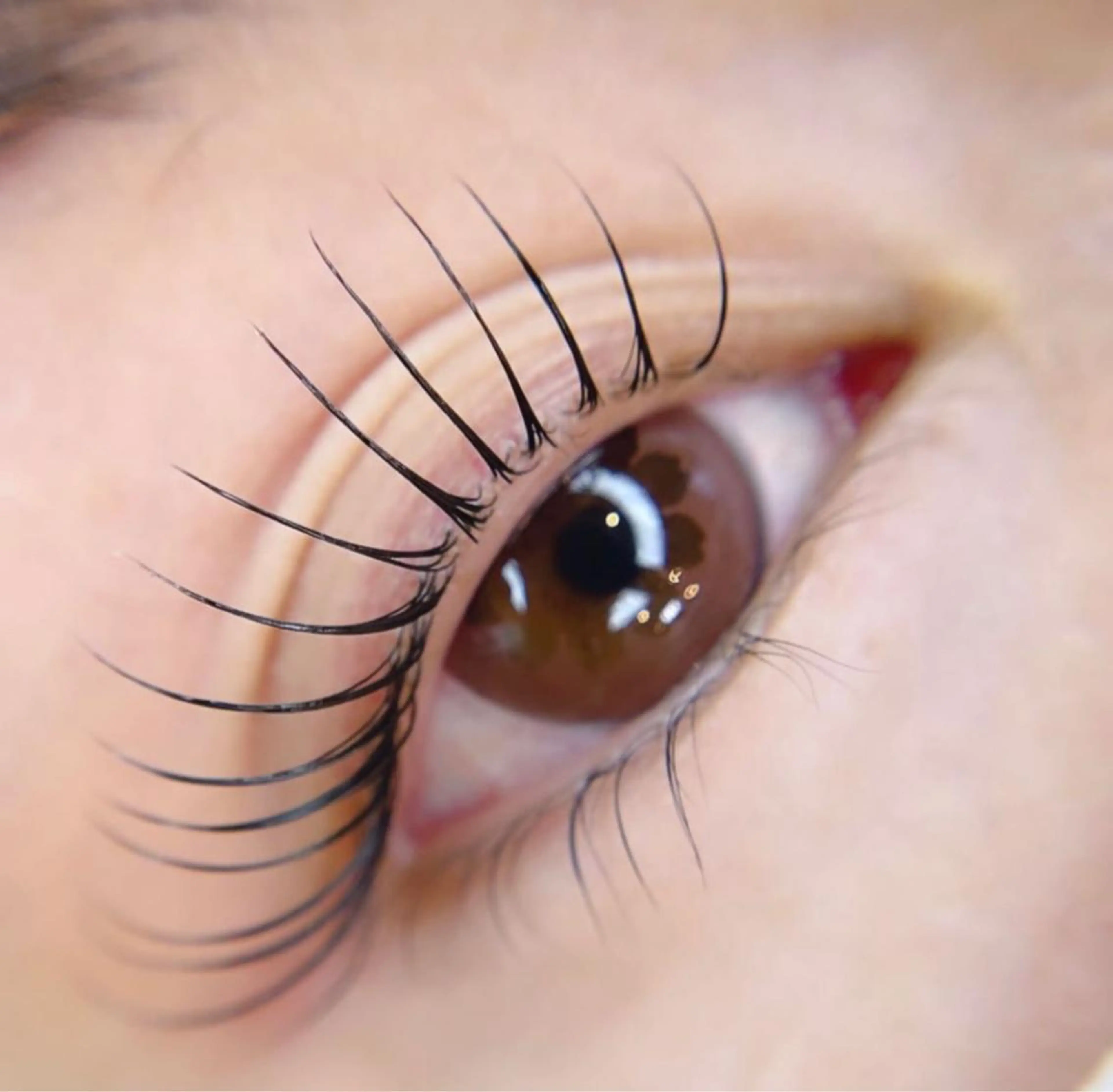 マツエク・マツパ Eyelash Luaのマツエク・マツパデザイン
