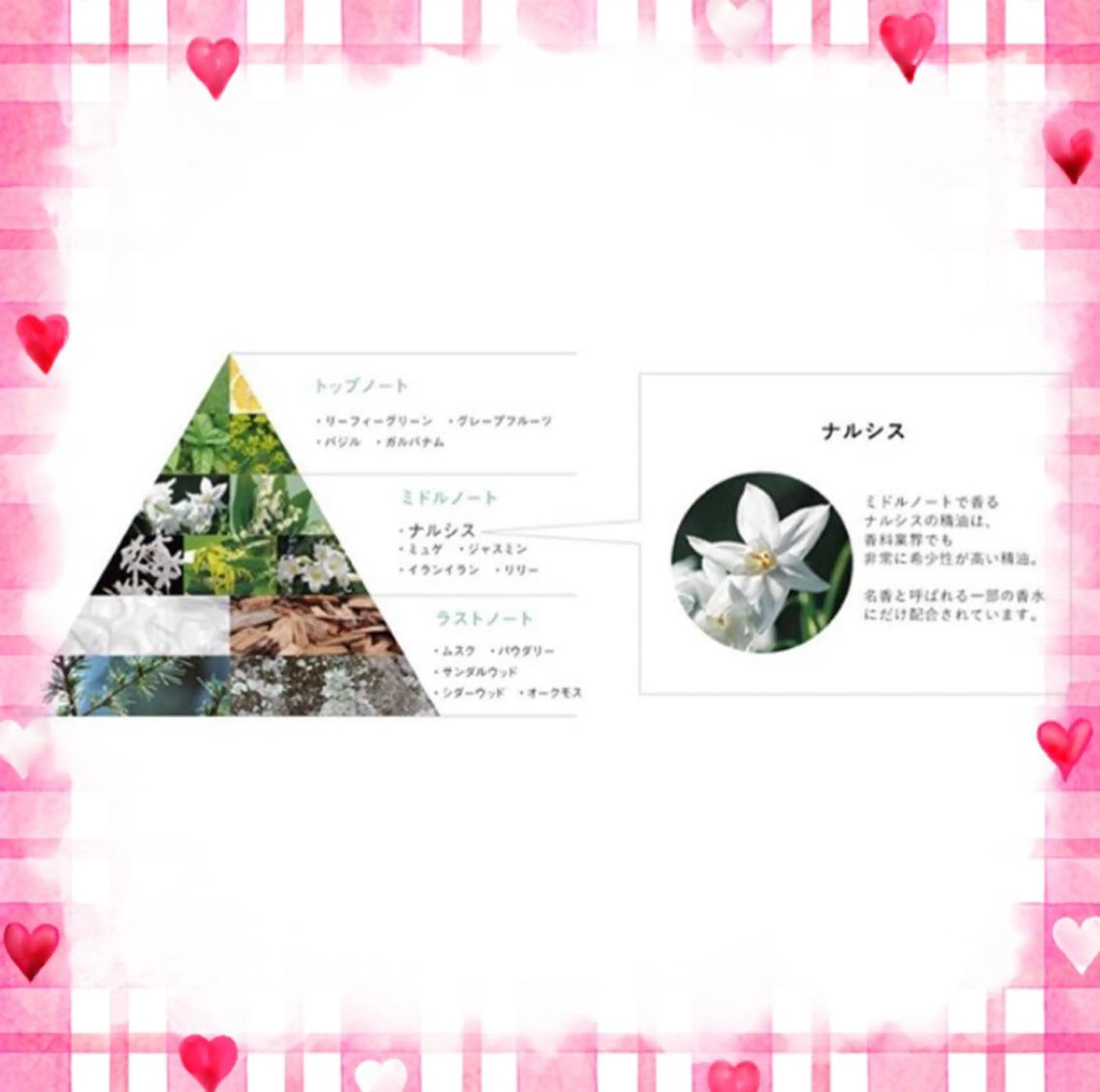 POLA　ポーラ 　太融寺所属・POLA 高瀬のエステ・リラクイメージ