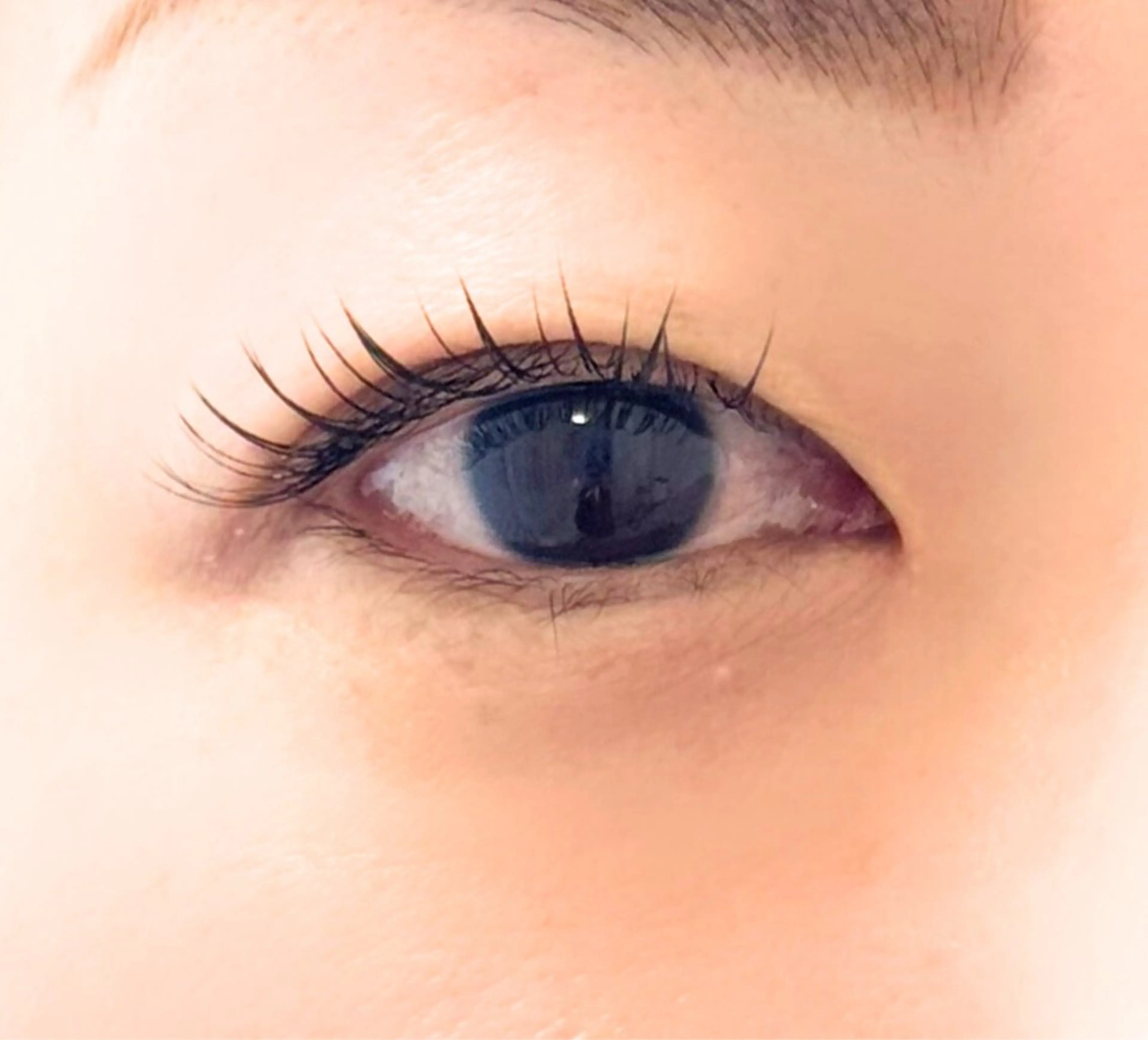 LEDエクステフラットラッシュ 80本 ￥6500→￥5500(アイシャンプー、コーティング付き)の写真