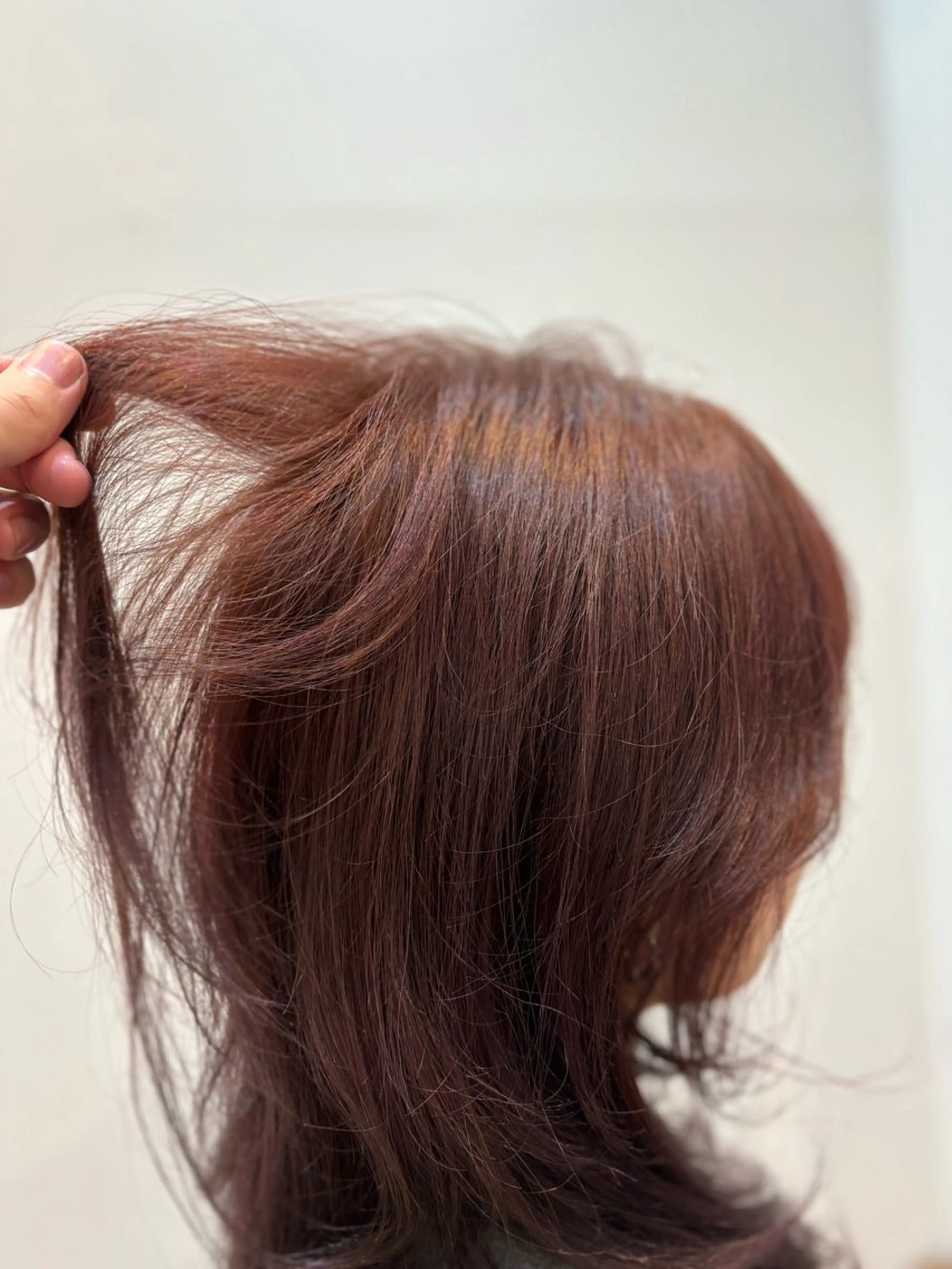 カラー 戸塚 竣太のヘアスタイル