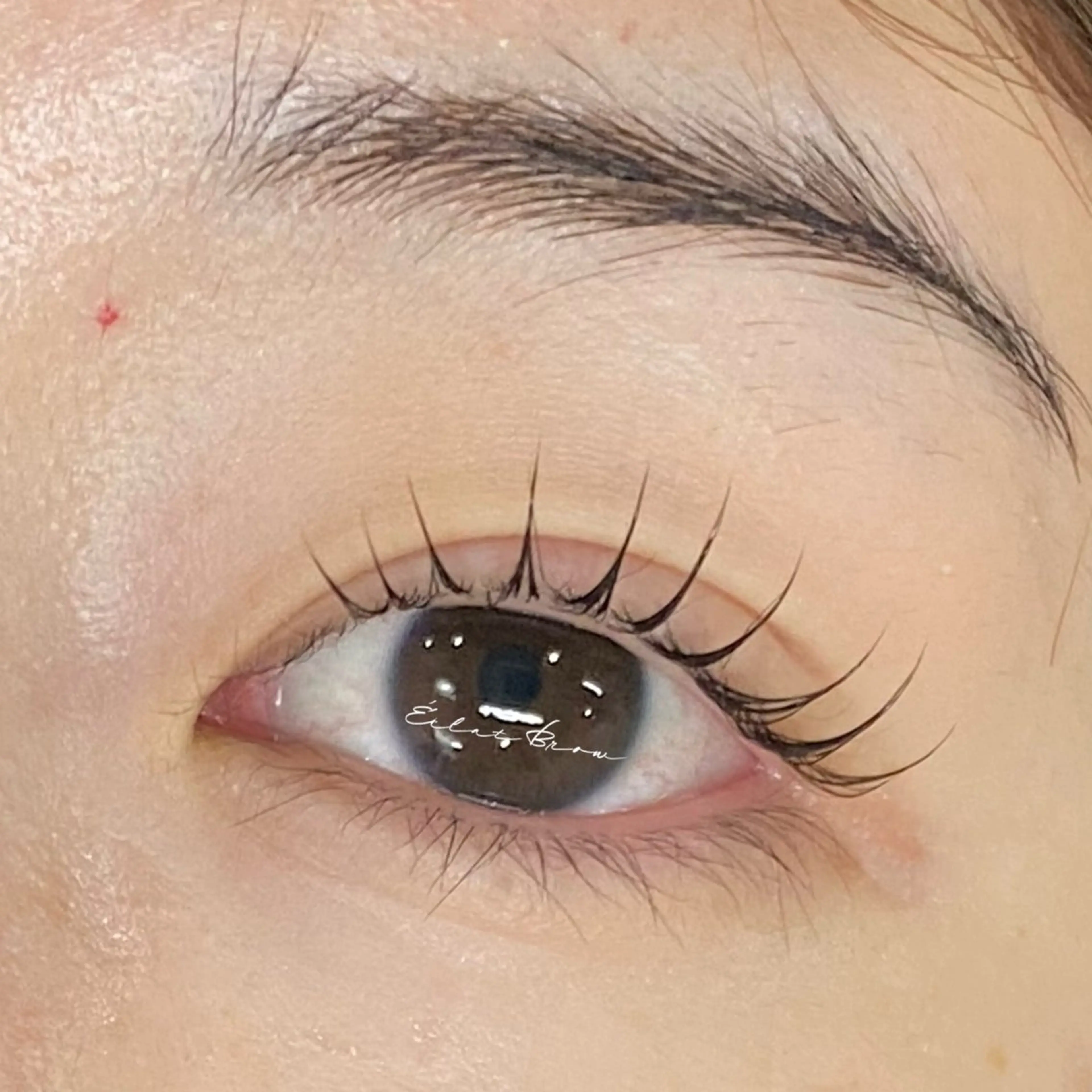 マツエク・マツパ まつげパーマ&眉毛専門店 エクラブロウ 大門浜松町店所属・エクラブロウ 大門浜松町店のマツエク・マツパデザイン