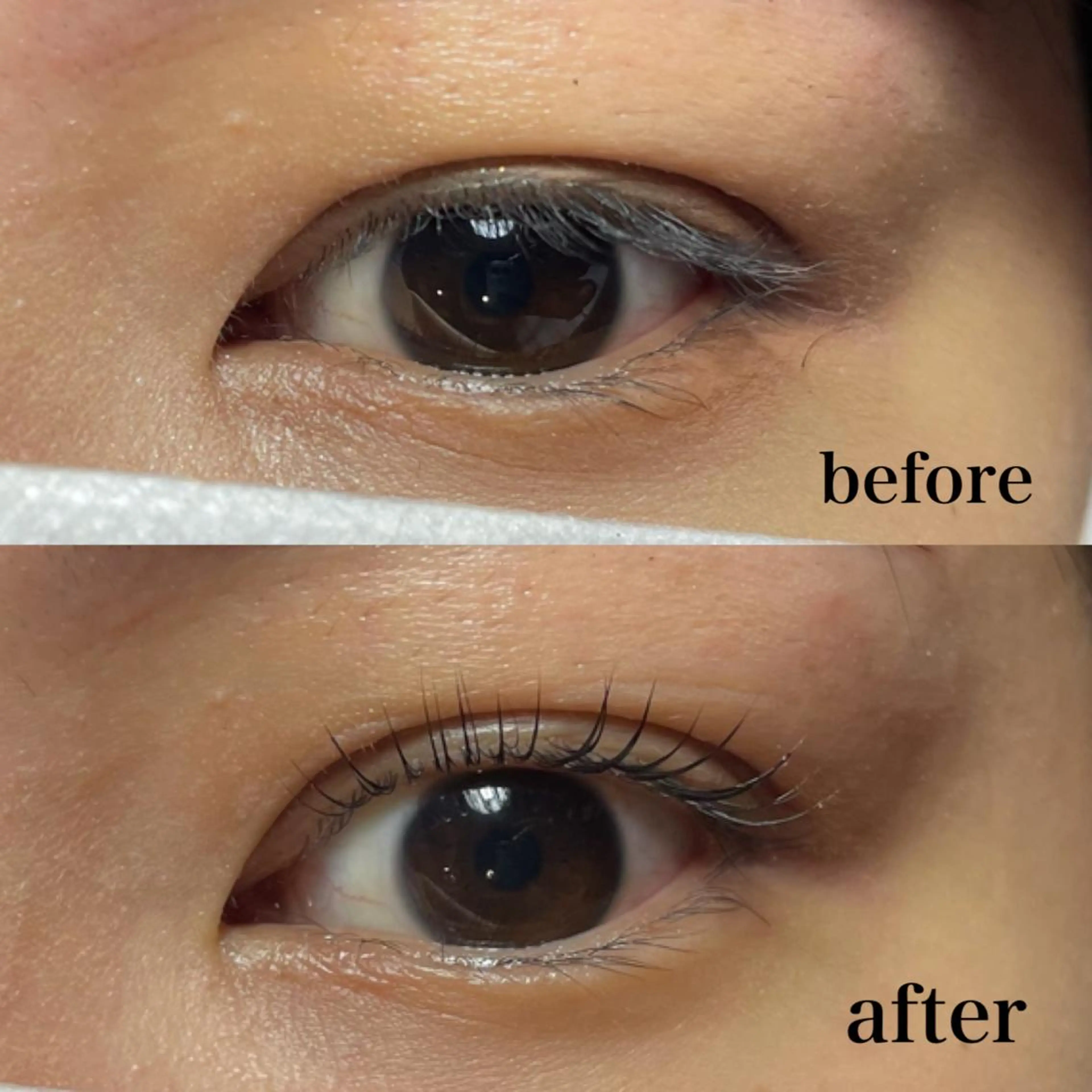 マツエク・マツパ 向井 萌華の眉毛・アイブロウイメージ