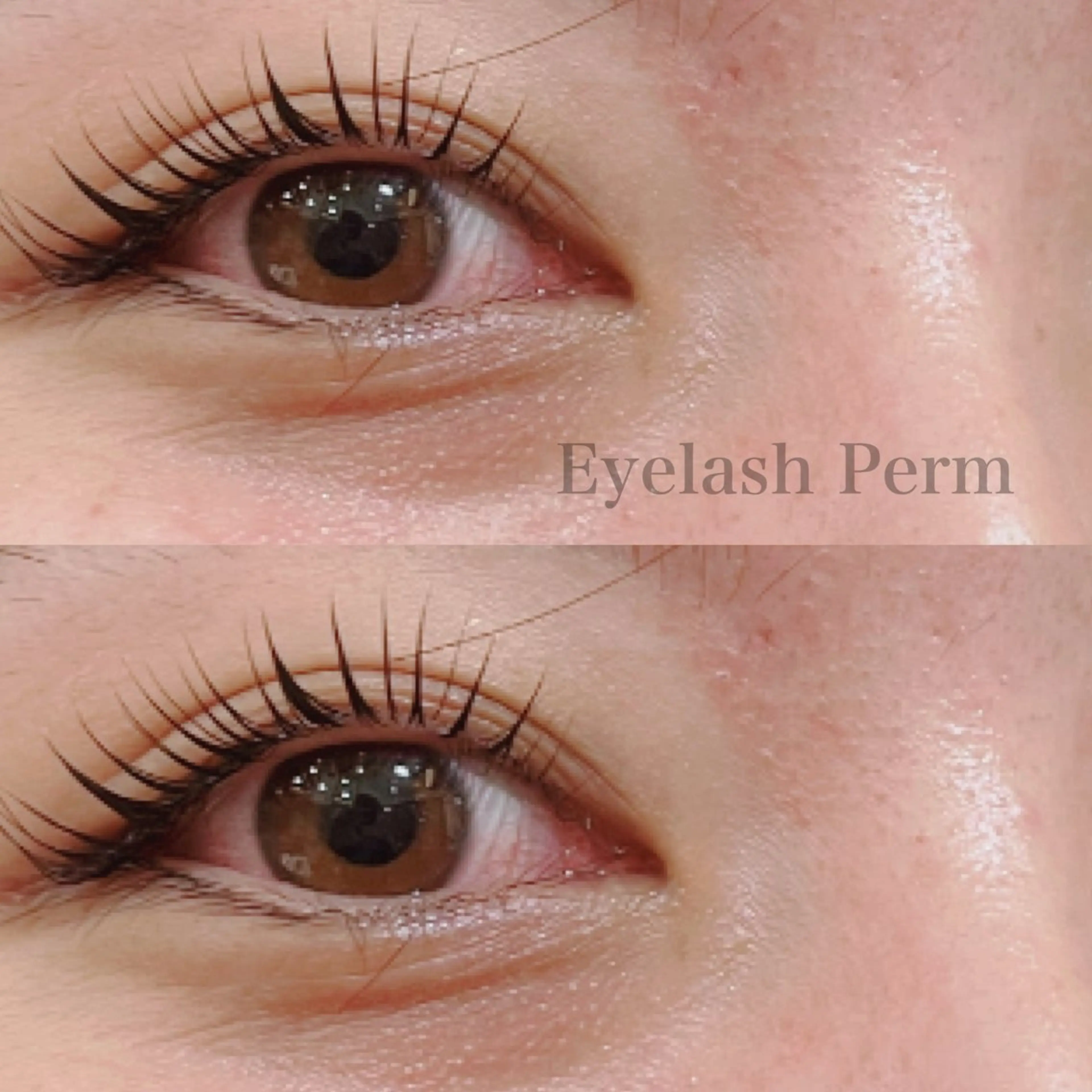 マツエク・マツパ マツパ 🦋中川 未来🦋のヘアスタイル