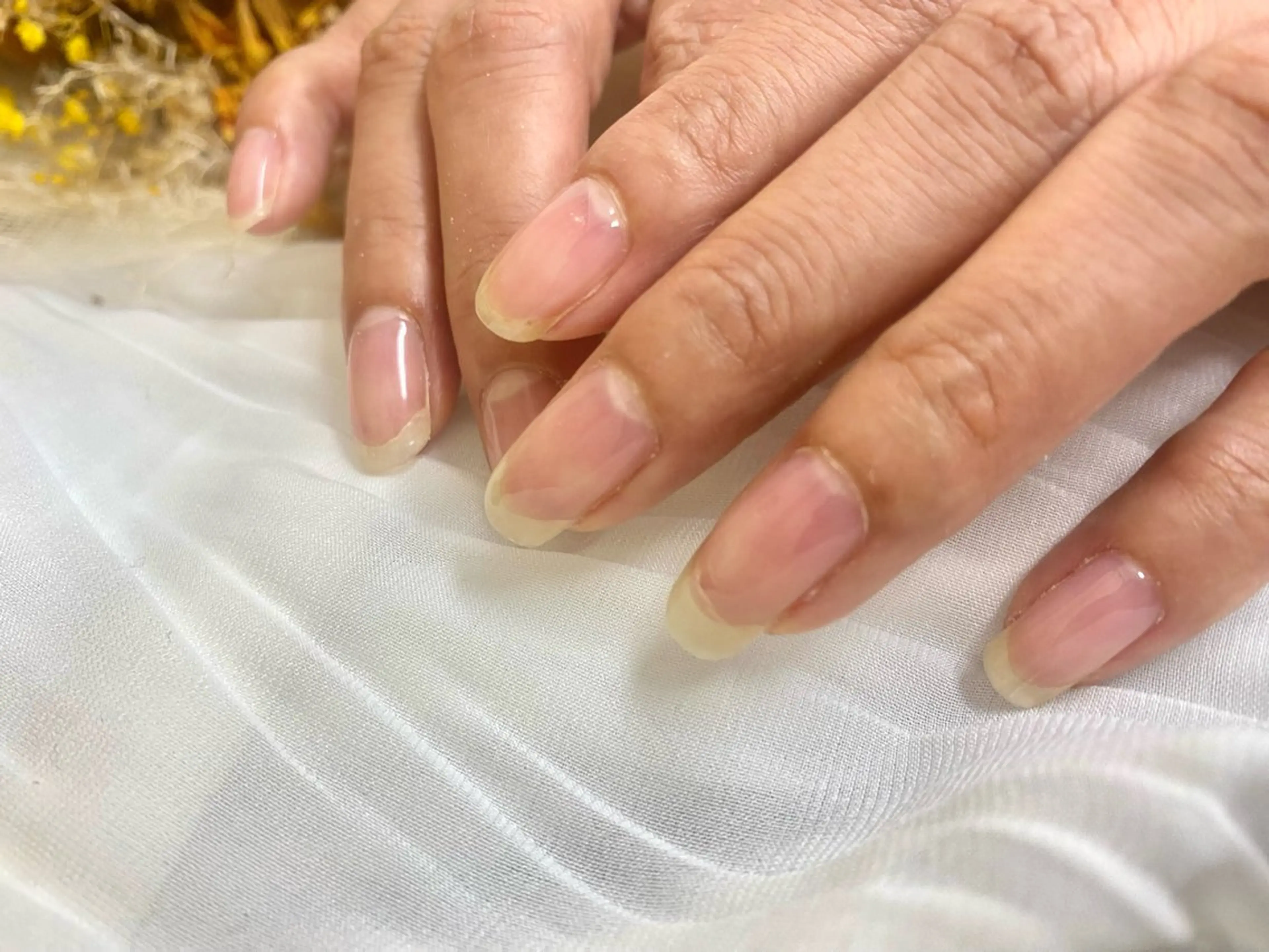 ネイル Lilas所属・パラジェル認定サロン 🥀【立川】ﾐｻﾄ.のネイルデザイン