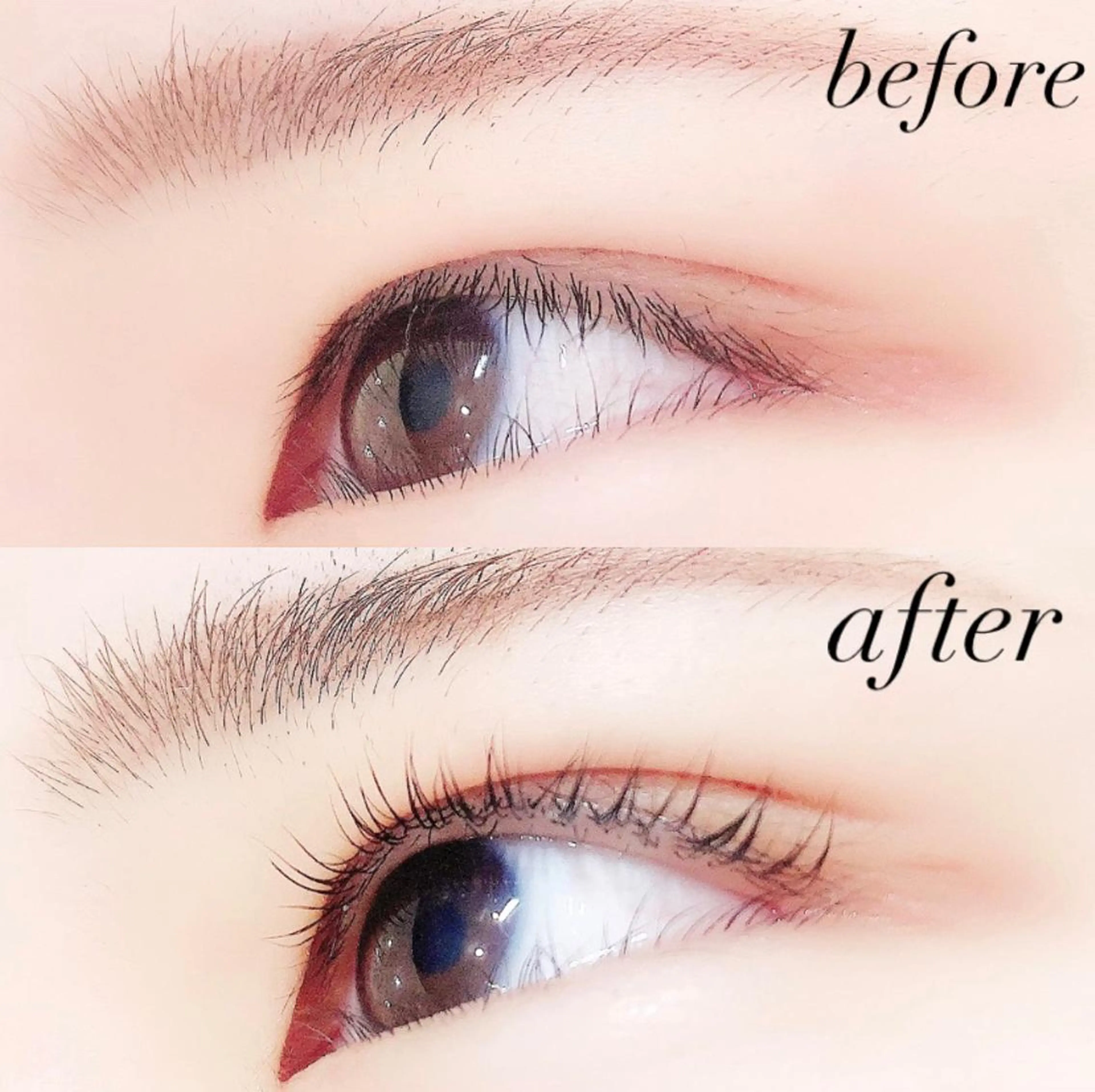 マツエク・マツパ 一重×まつ毛パーマ Lanhr所属・【Lanhr】 🕊aya🕊のマツエク・マツパデザイン