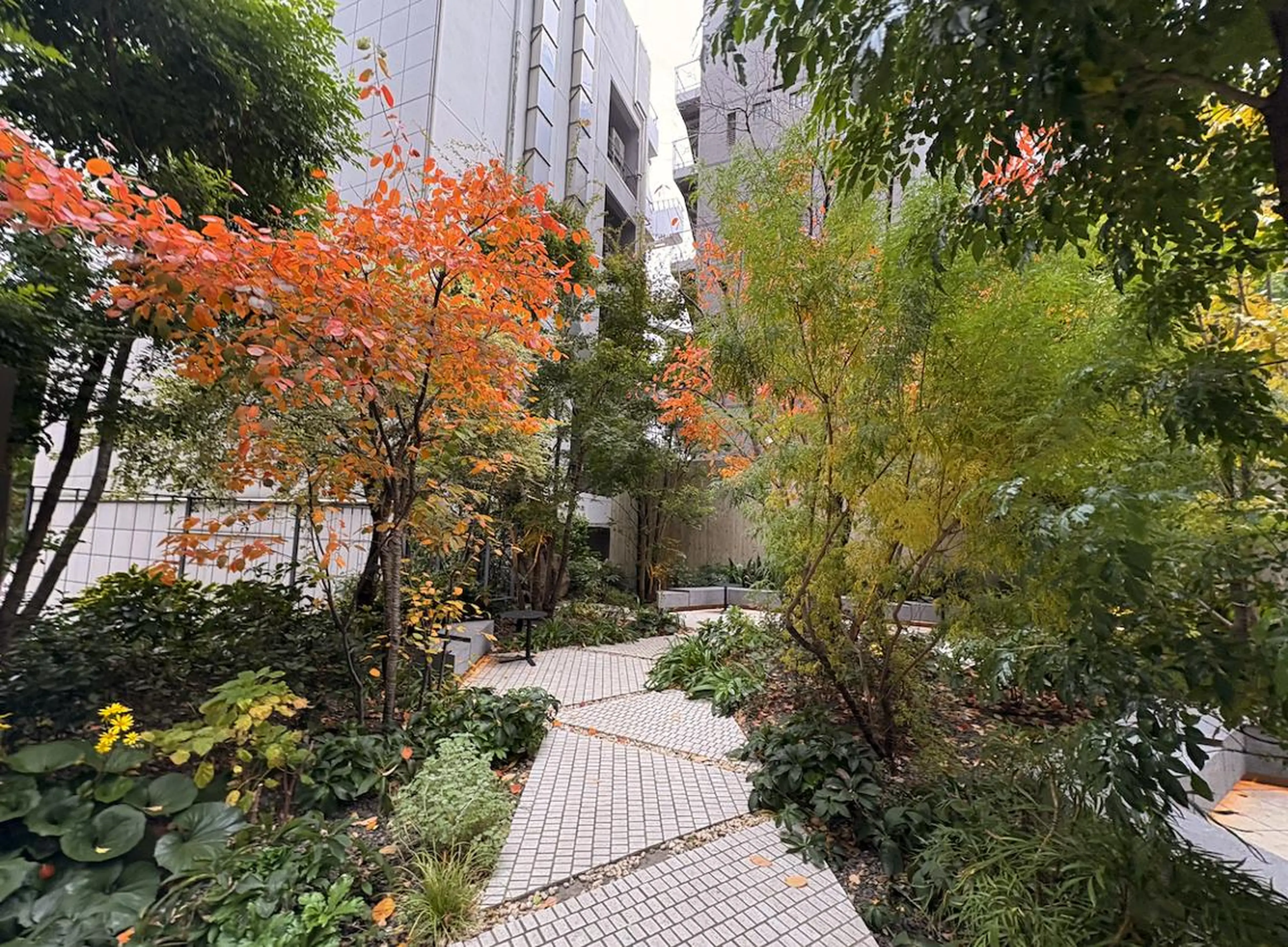 パーソナルカラー診断 骨格診断 顔タイプ診断 パーソナルカラー診断 ボニットBoknitのその他イメージ