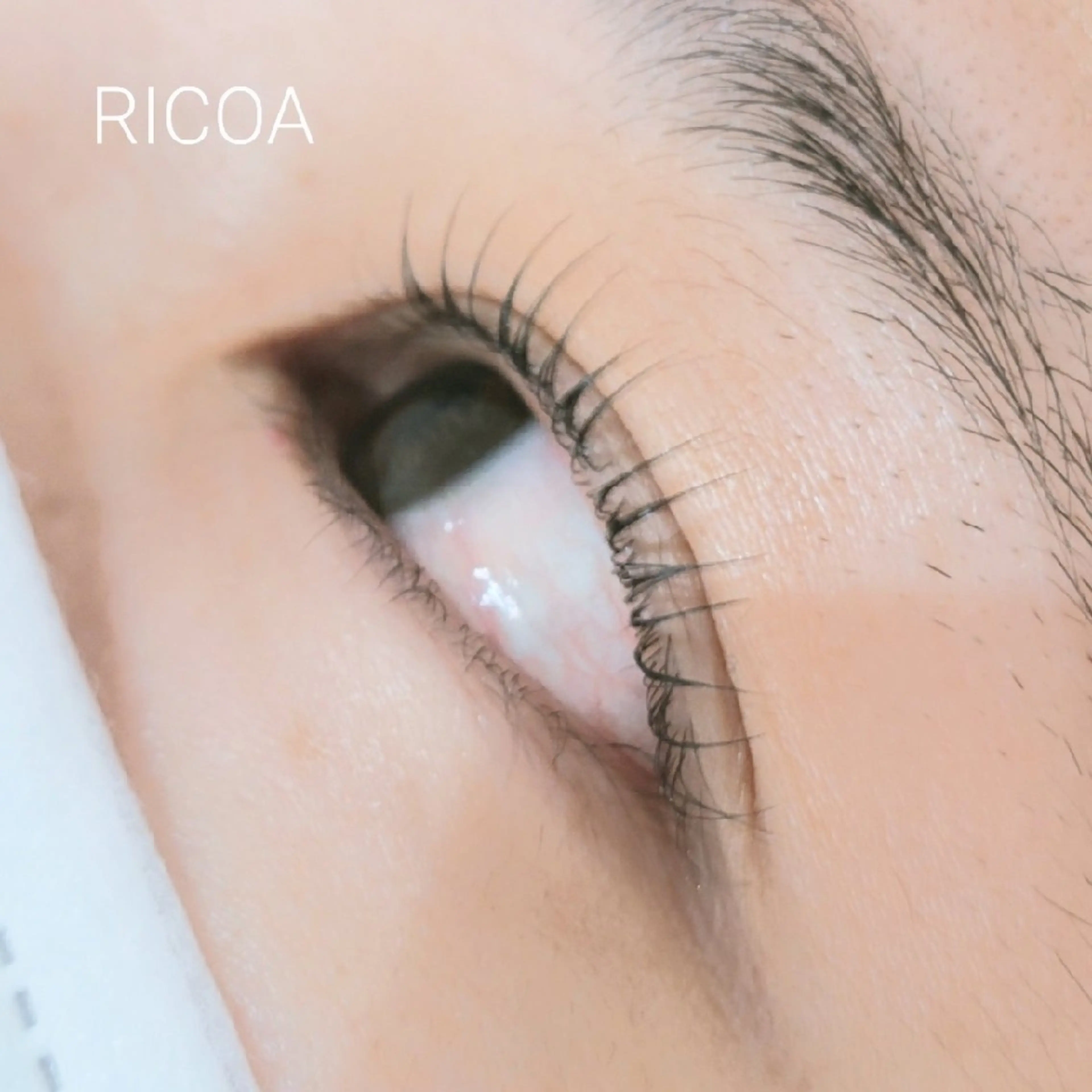 マツエク・マツパ 一重×まつ毛パーマ マツパ RICOA 酒井のマツエク・マツパデザイン