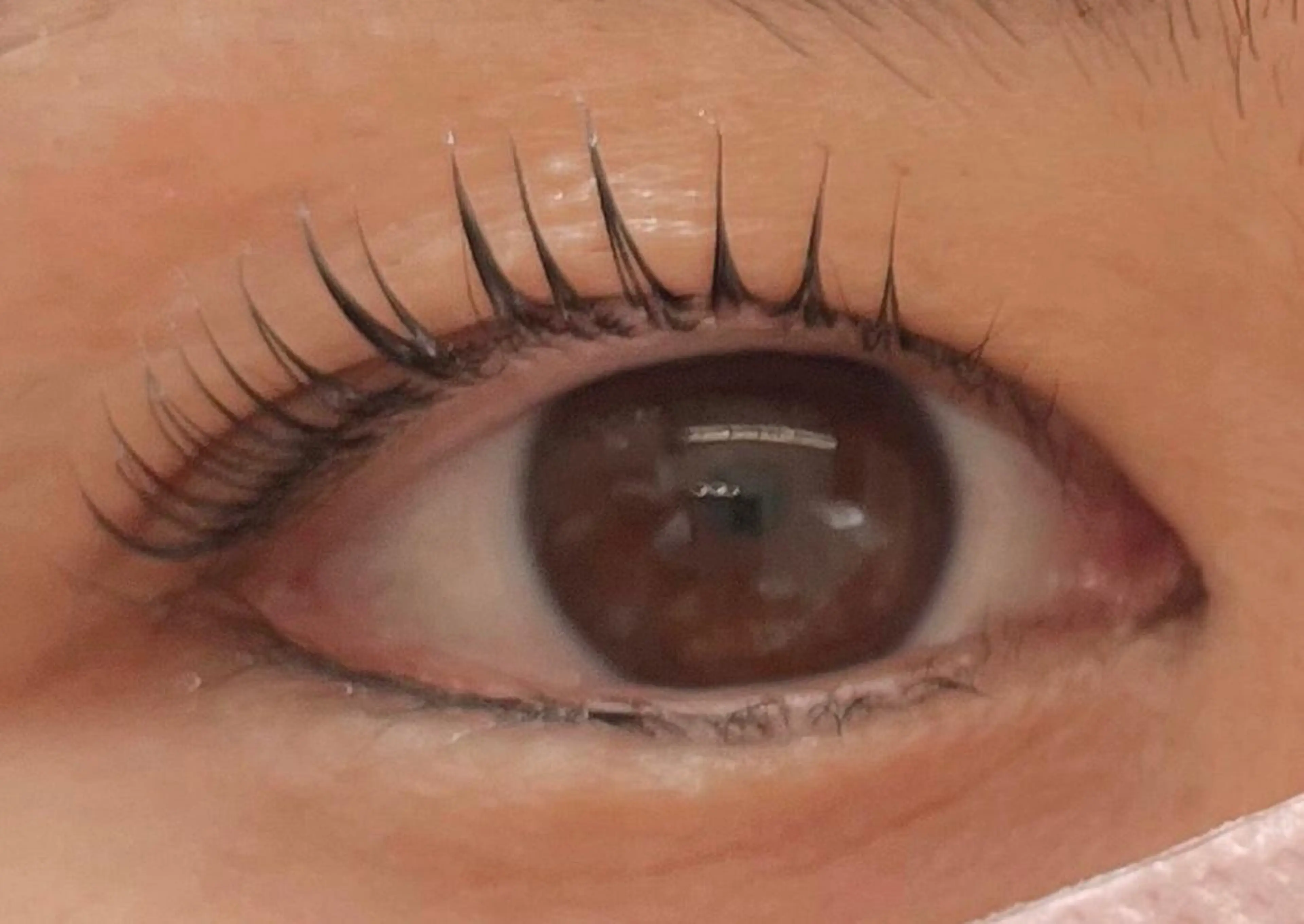 マツエク・マツパ ナチュラル handsemu EYELASHの眉毛・アイブロウイメージ