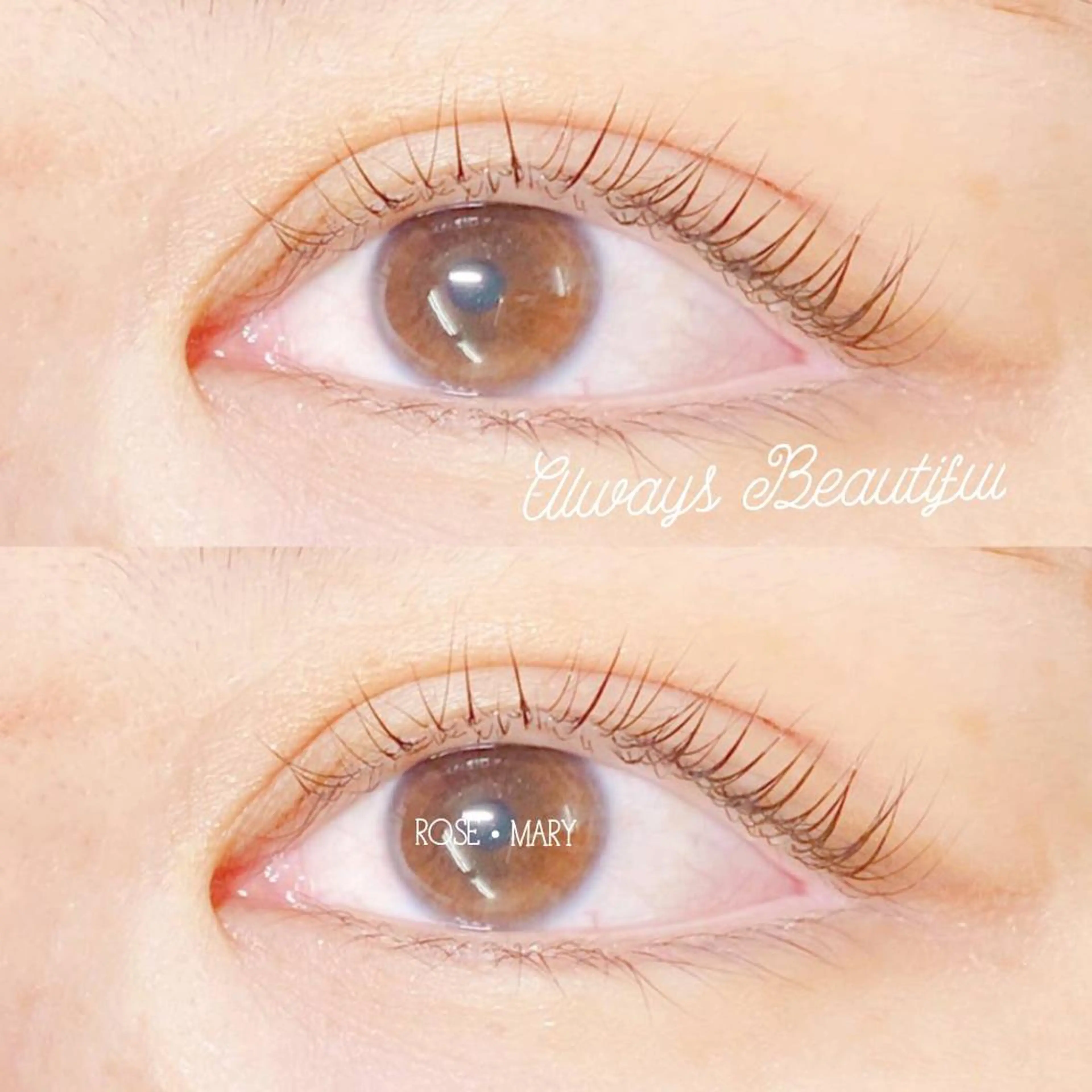 マツエク・マツパ マツパ ROSE MARY 大竹のマツエク・マツパデザイン