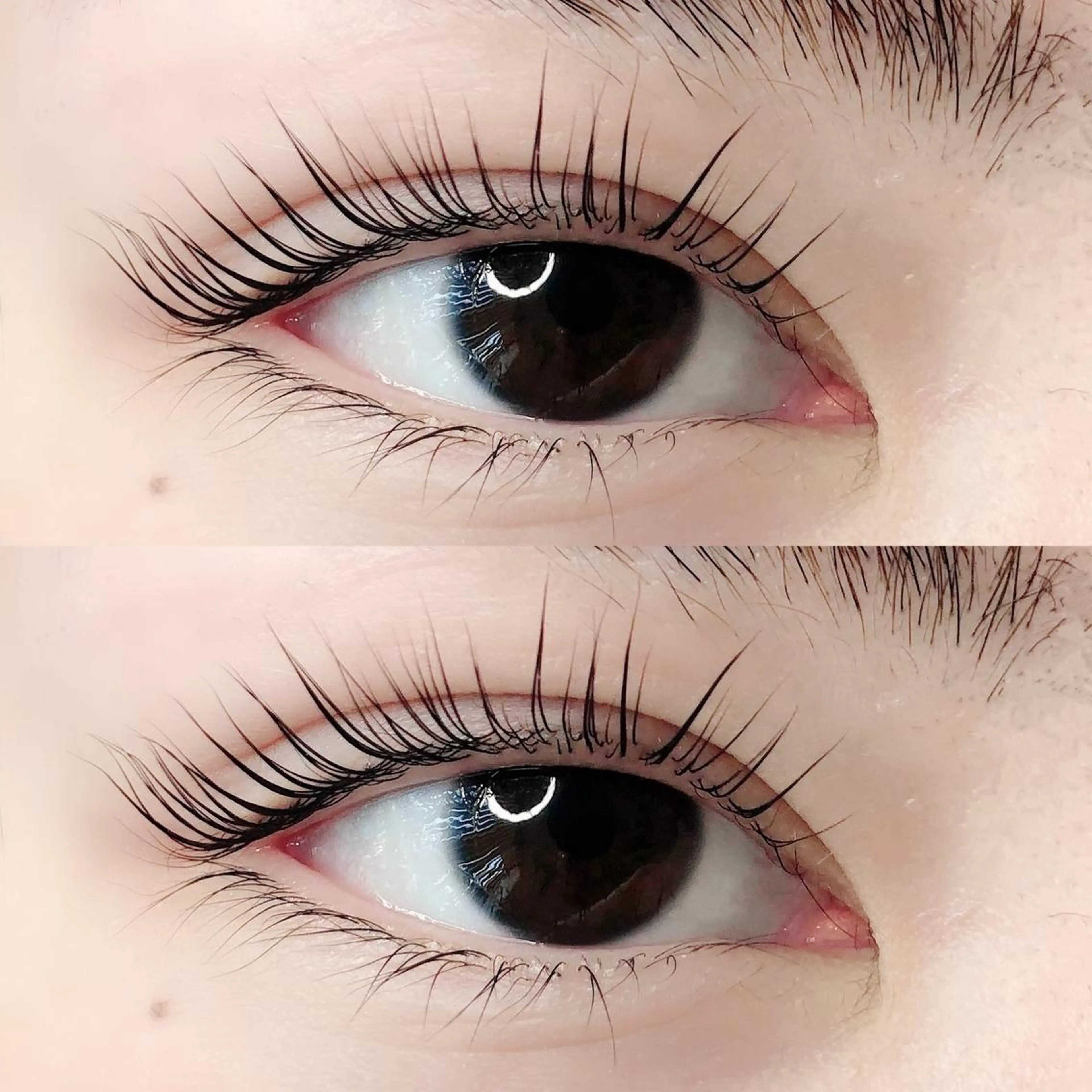 マツエク・マツパ パリジェンヌラッシュリフト terios.所属・terios. MATSUDAのマツエク・マツパデザイン